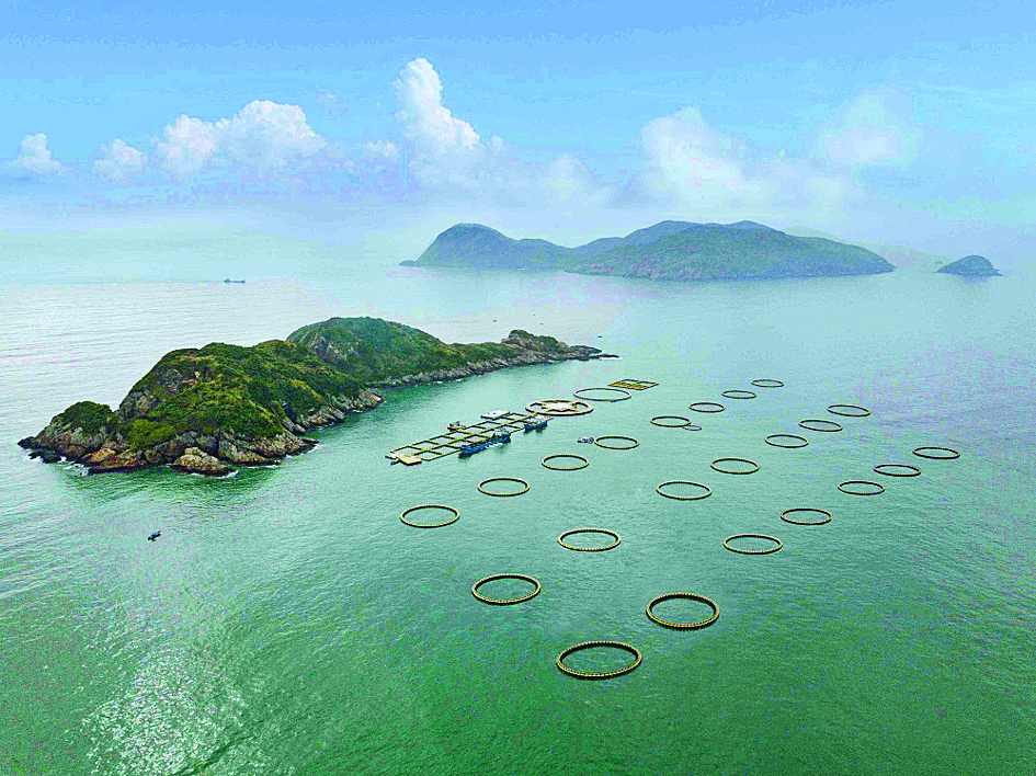     知识赋能区域特色海产品，全面推动向海图强战略。特约通讯员叶衍达供图