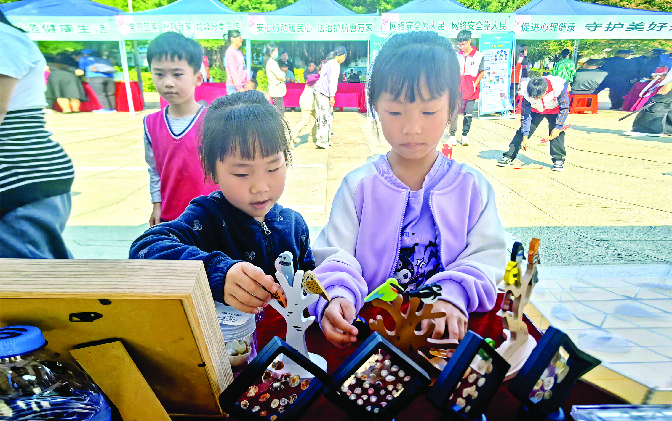     小朋友在集市上了解海洋生物标本。通讯员邹弋卉供图