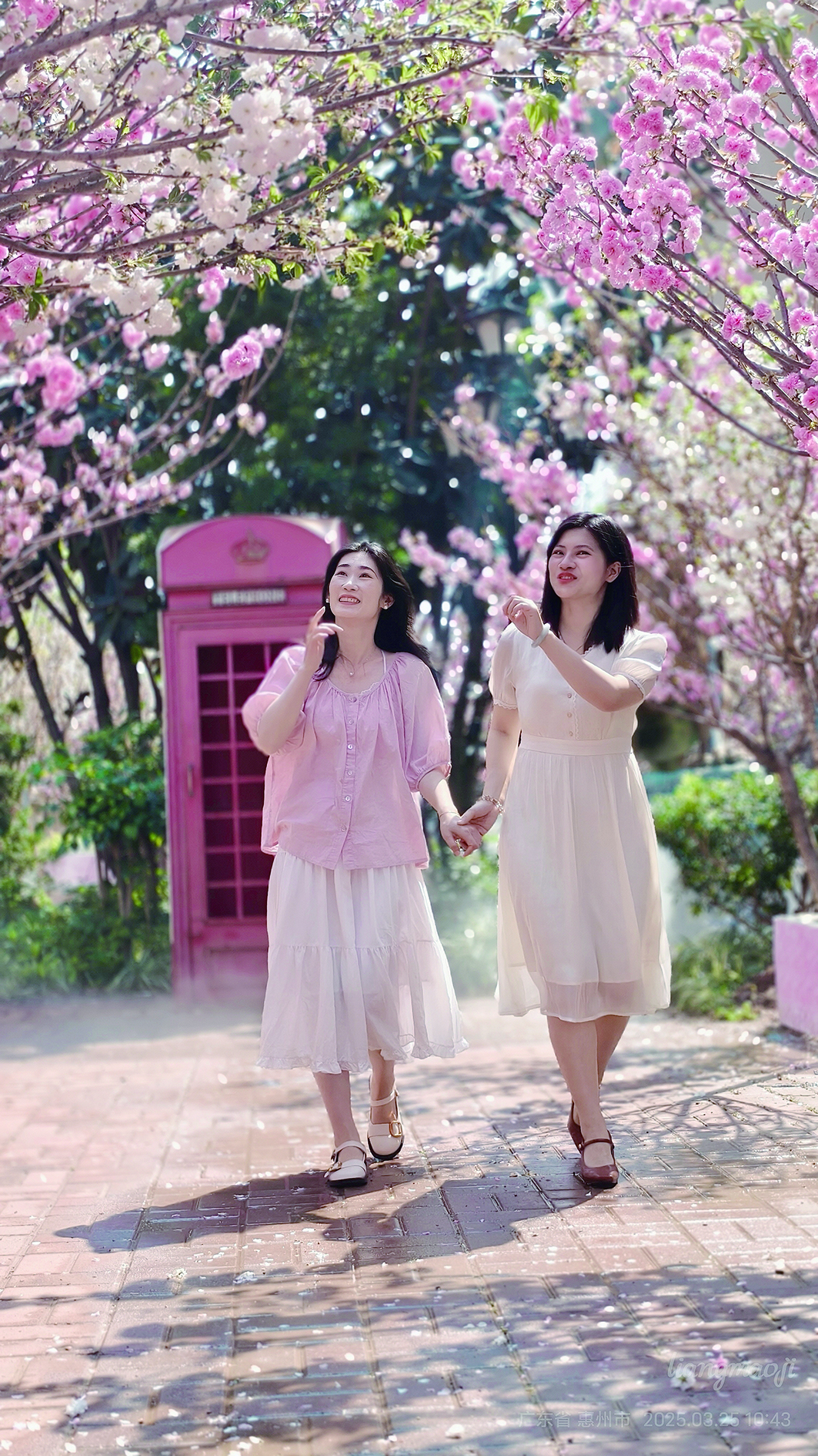     在浪漫樱花下定格最美瞬间。