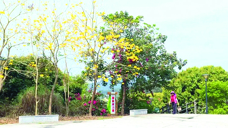     碧甲村全力升级村容村貌，环境得到很大改善。    惠州日报记者蔡伟健 通讯员蔡伊冰 寇滨麒 摄