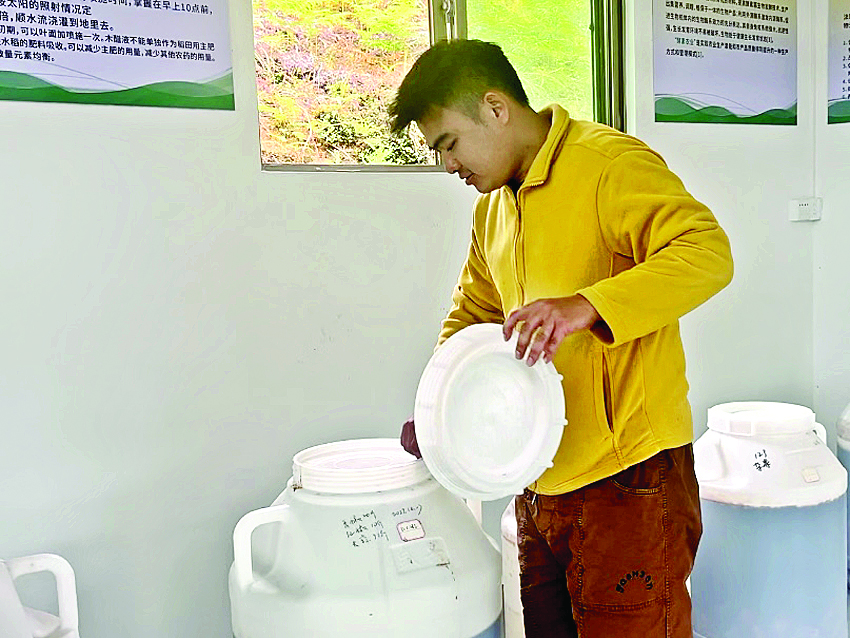     工作人员在查看肥料发酵情况。惠州日报记者洪鹊儿 摄