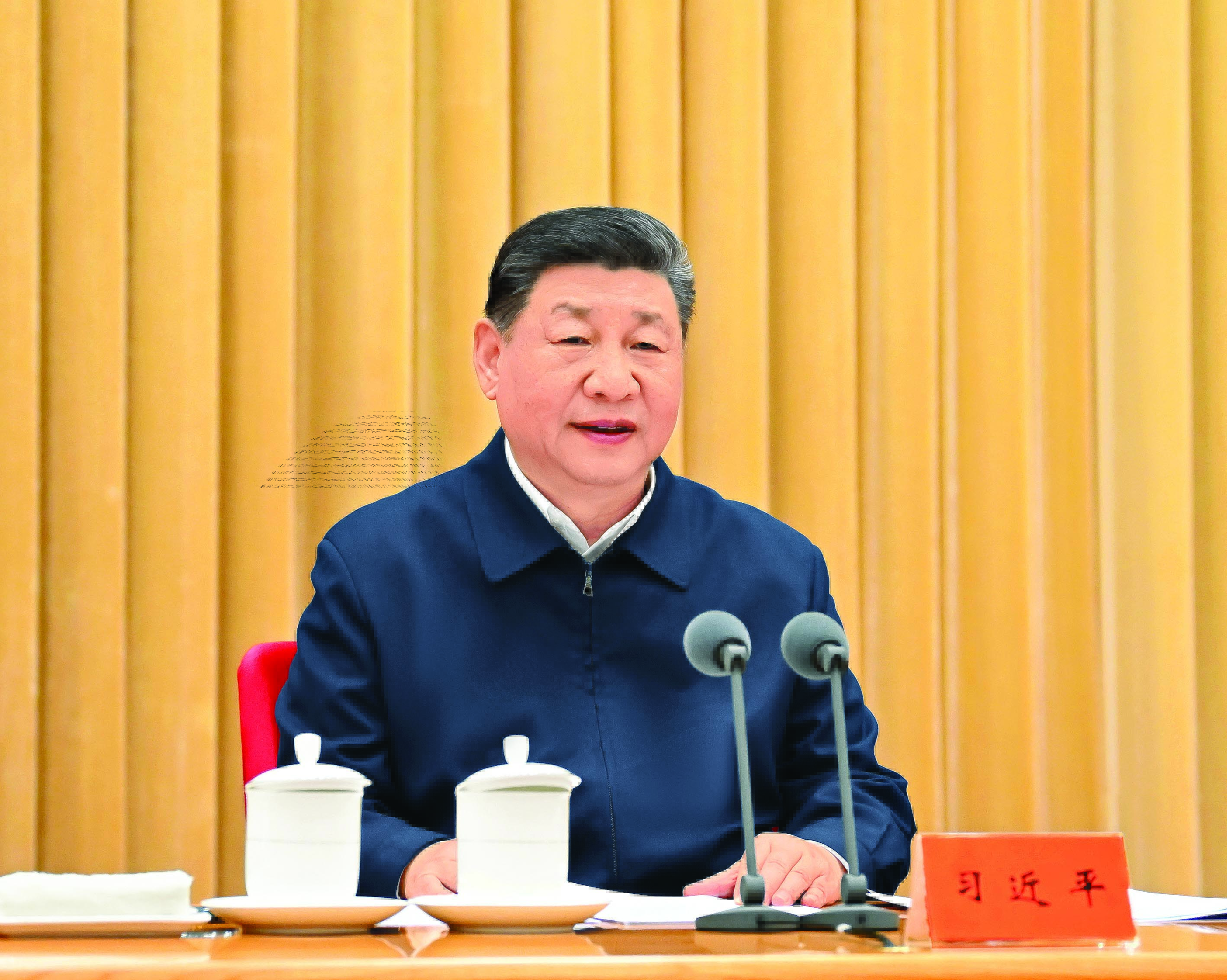     4月8日至9日，中央周边工作会议在北京举行。中共中央总书记、国家主席、中央军委主席习近平出席会议并发表重要讲话。新华社发