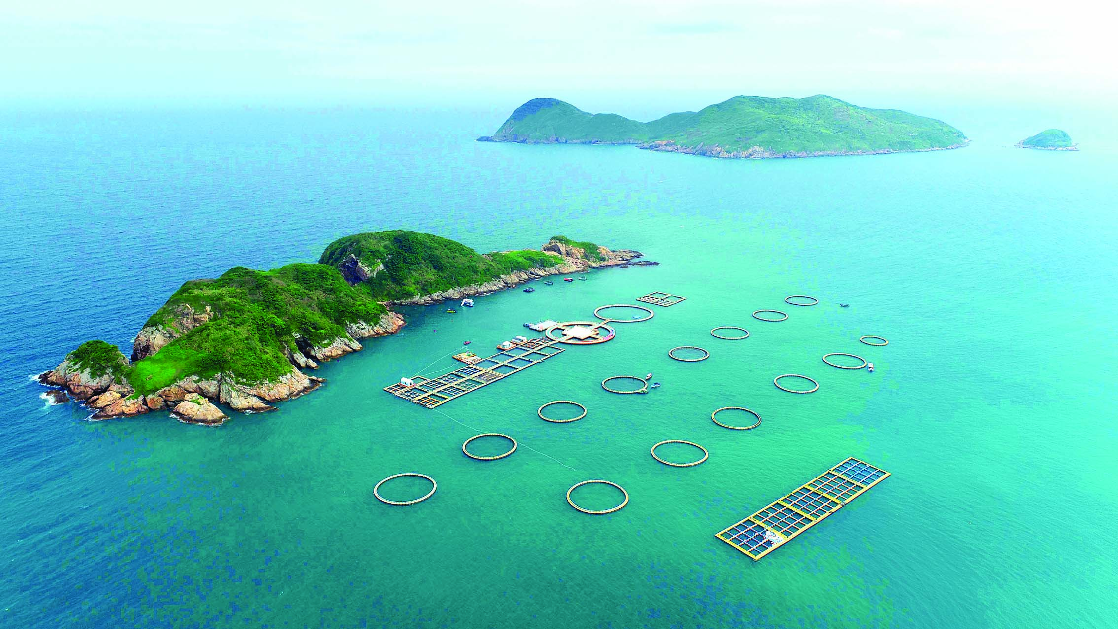     惠东港口的海洋牧场。惠州日报记者杨建业 摄