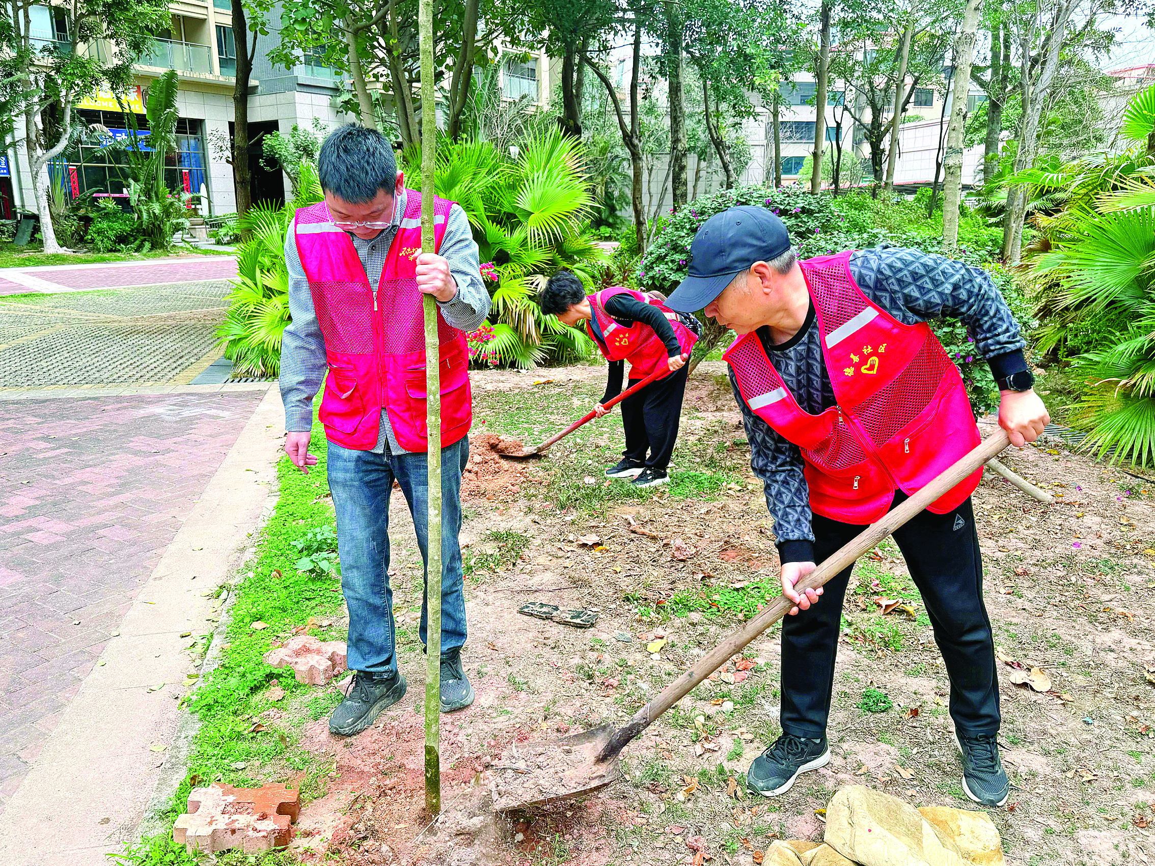     志愿者参加义务植树活动。