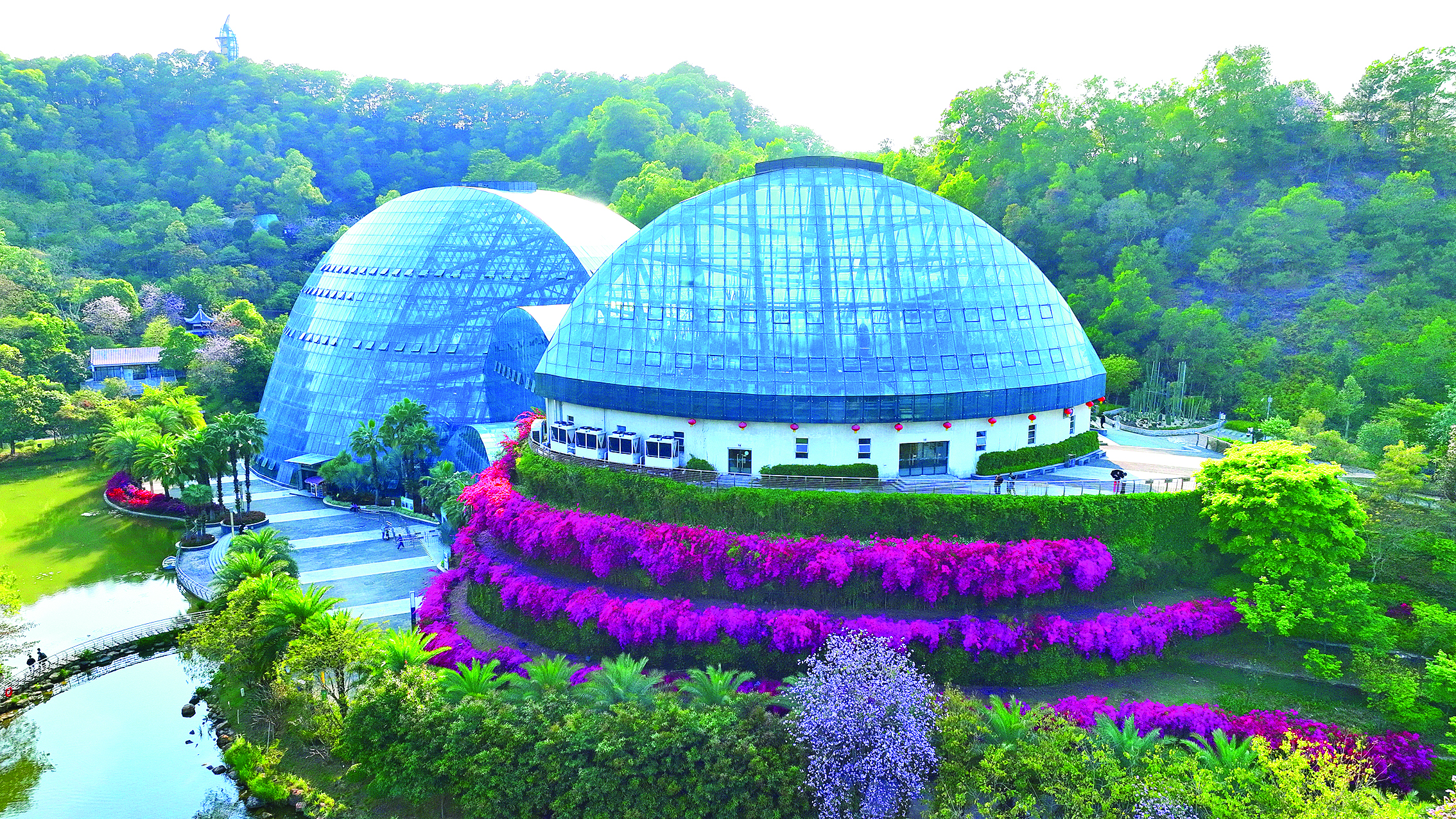     惠州植物园。惠州日报记者钟畅新 摄