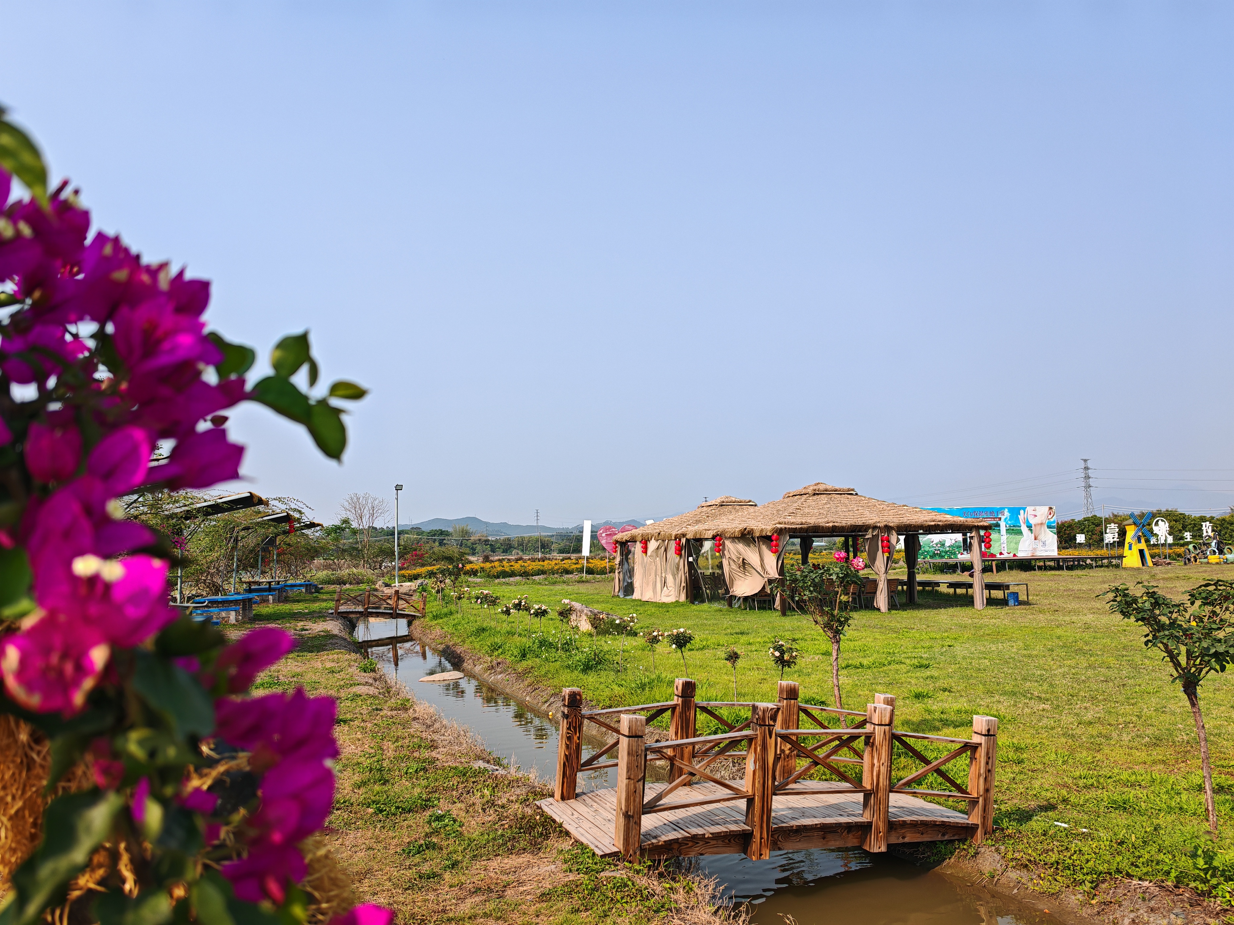 <p>    当传统农业嫁接文旅基因，花田便成了“流量入口”。</p>