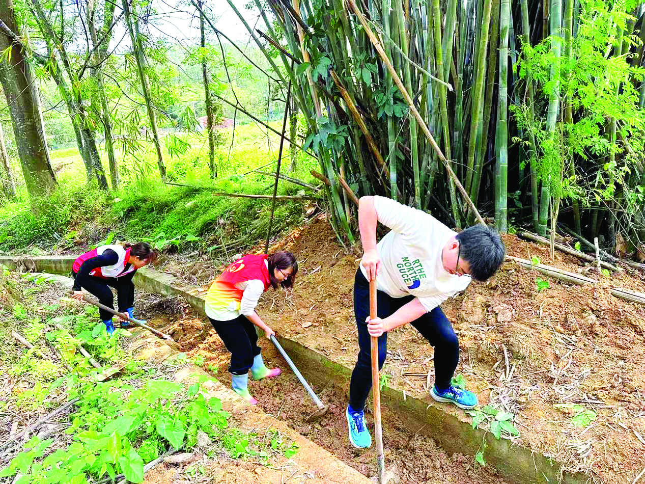     志愿者和社区工作人员在清淤。惠州日报记者李燕文 通讯员湖镇宣 摄