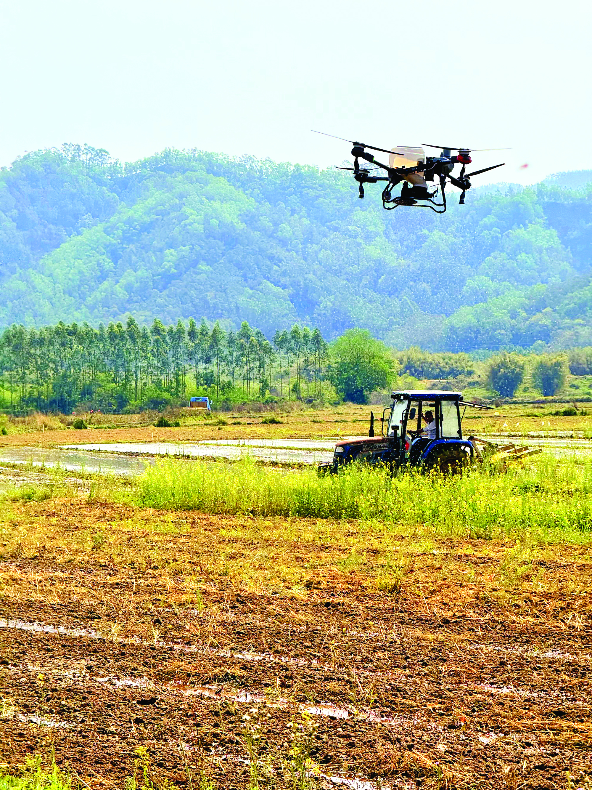     芦洲供销农场开展农机耕作演示。   惠州日报记者谢菁菁 通讯员李雪英 摄