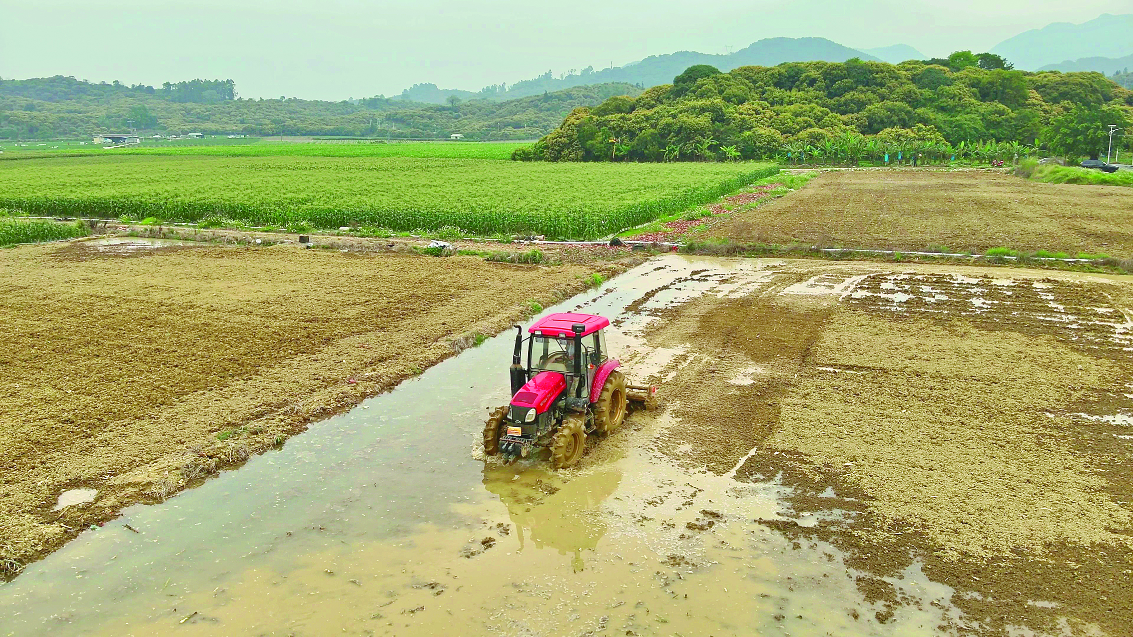     沥林镇春耕现场暨农业科技下乡现场会上，农耕机来回穿梭。    惠州日报记者邱舒婷 通讯员陈静 摄