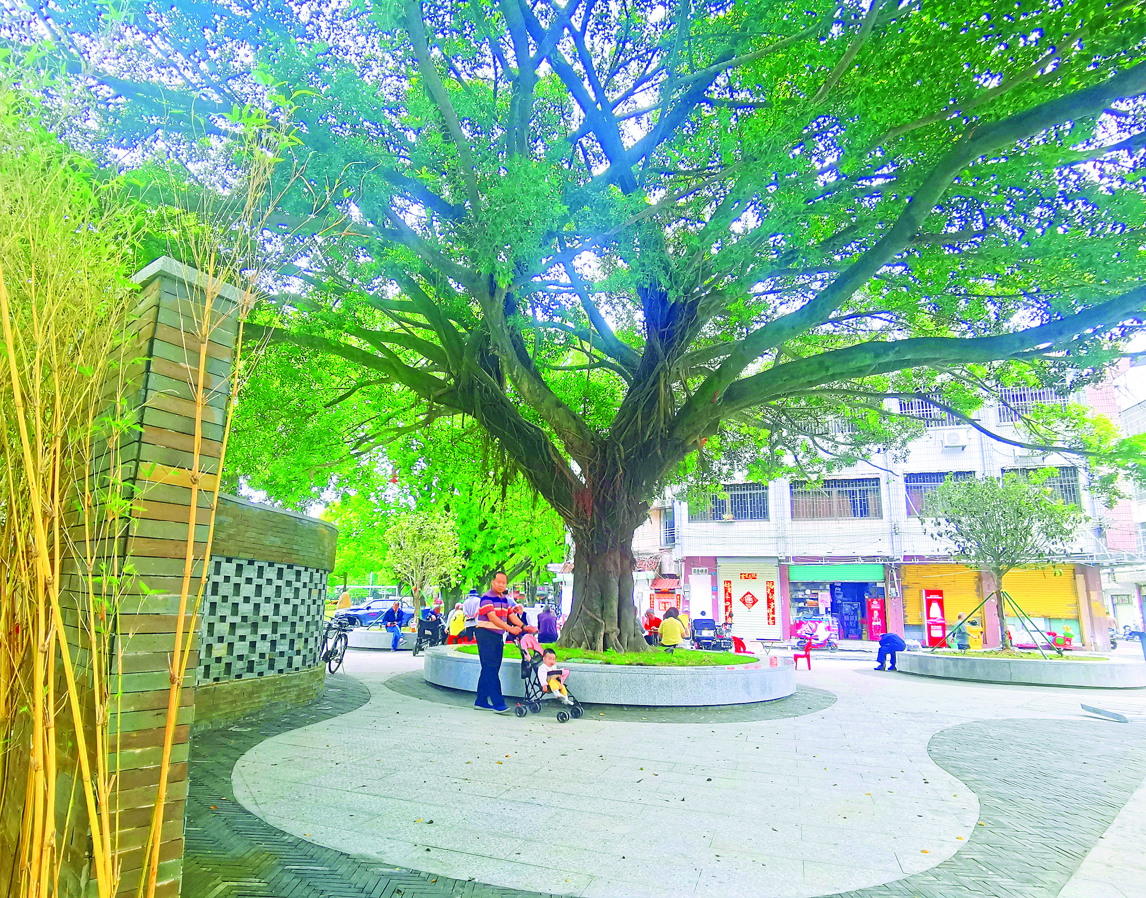     新建成的塘滩路公园成为周边居民休闲好去处。