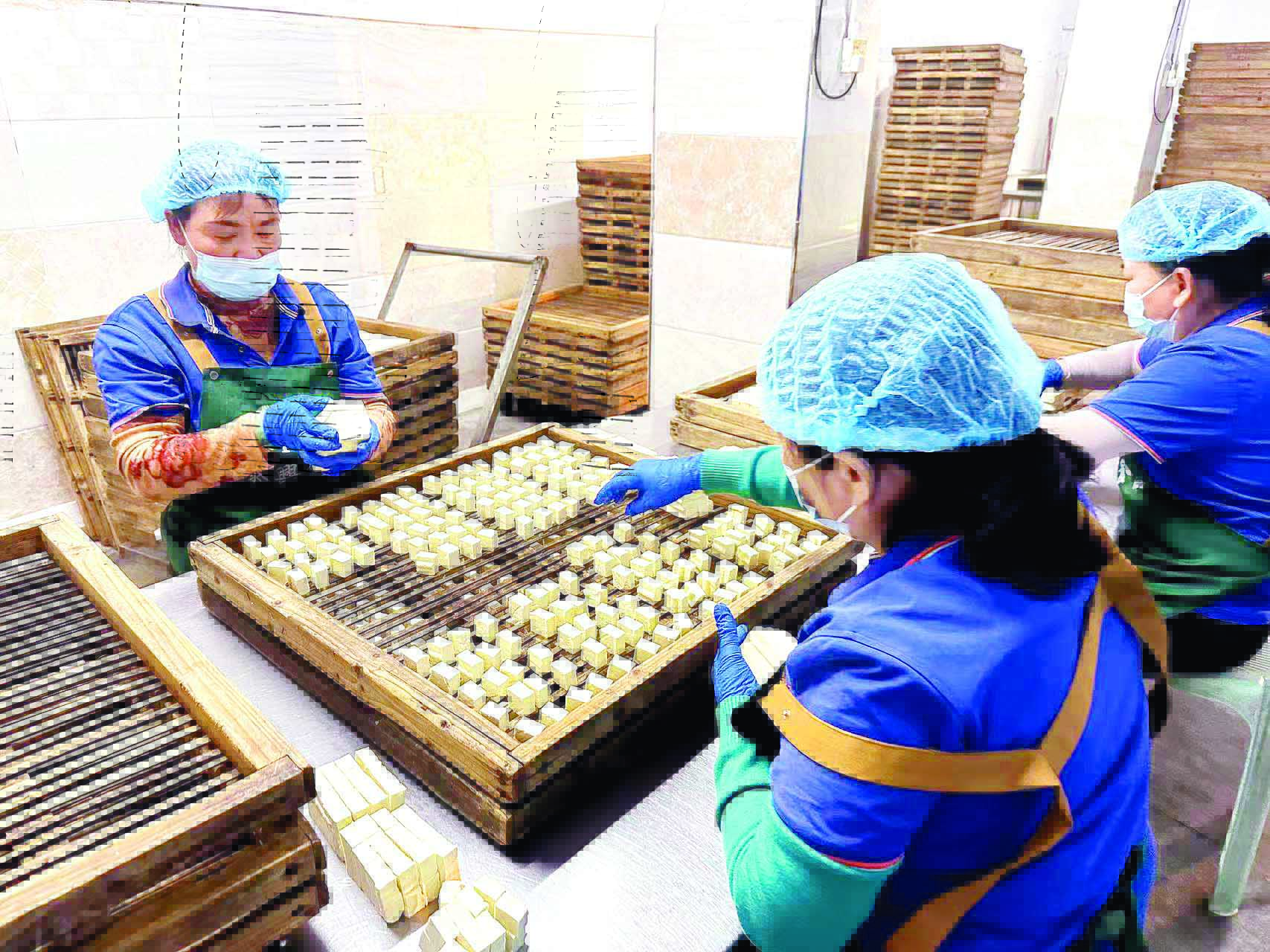     工人分装切割好的豆腐。本组图片 惠州日报记者许文昌 摄