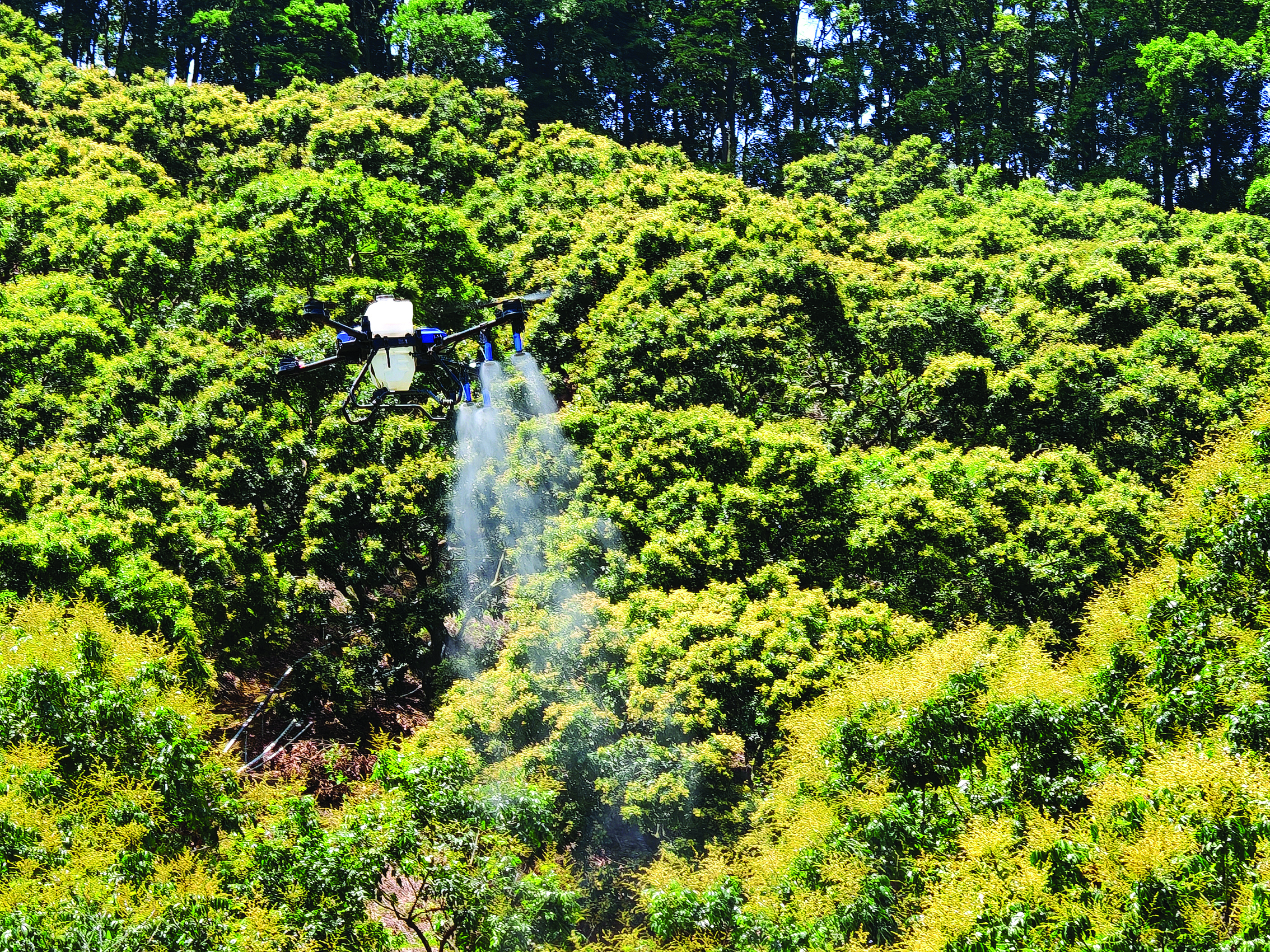     活动现场演示无人机作业。惠州日报记者陈春惠 摄