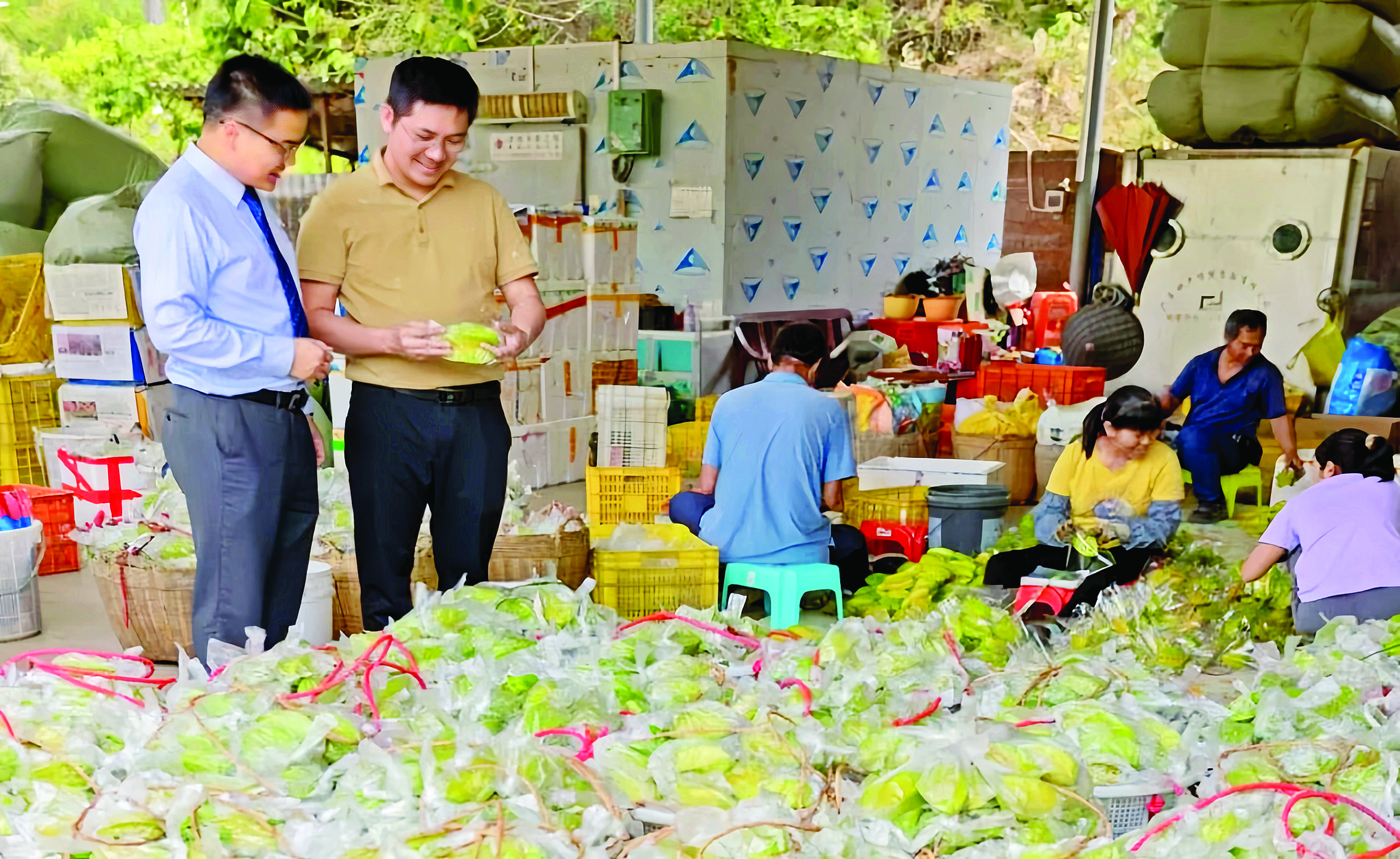     专班工作人员到农企走访。惠州日报记者黄宇翔 通讯员龙融心 摄