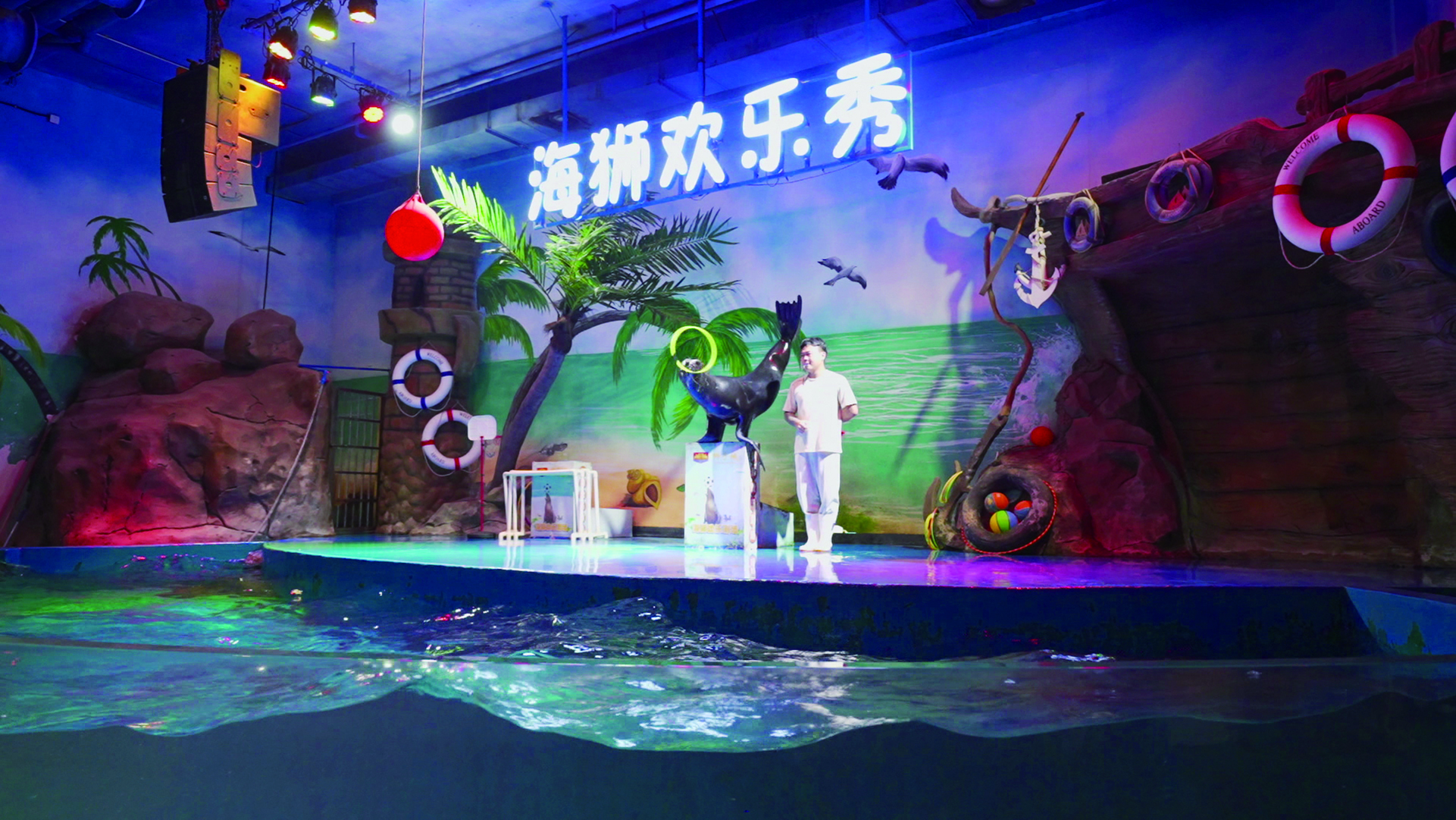     海狮宝宝带来高难度表演。