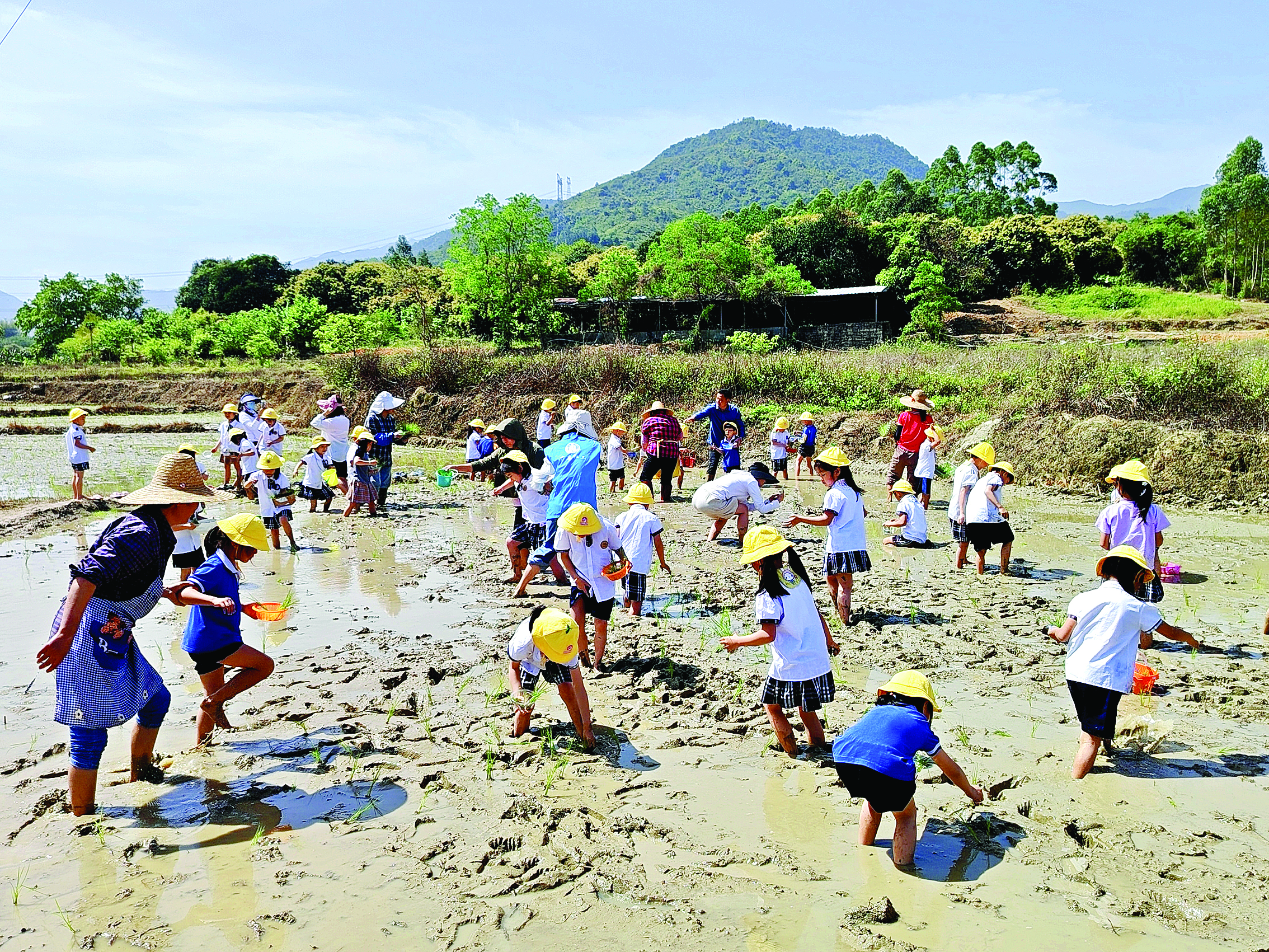     萌娃体验春耕乐趣。本组图片 惠州日报记者洪鹊儿 特约通讯员杨志敏 通讯员邱艳婷 摄