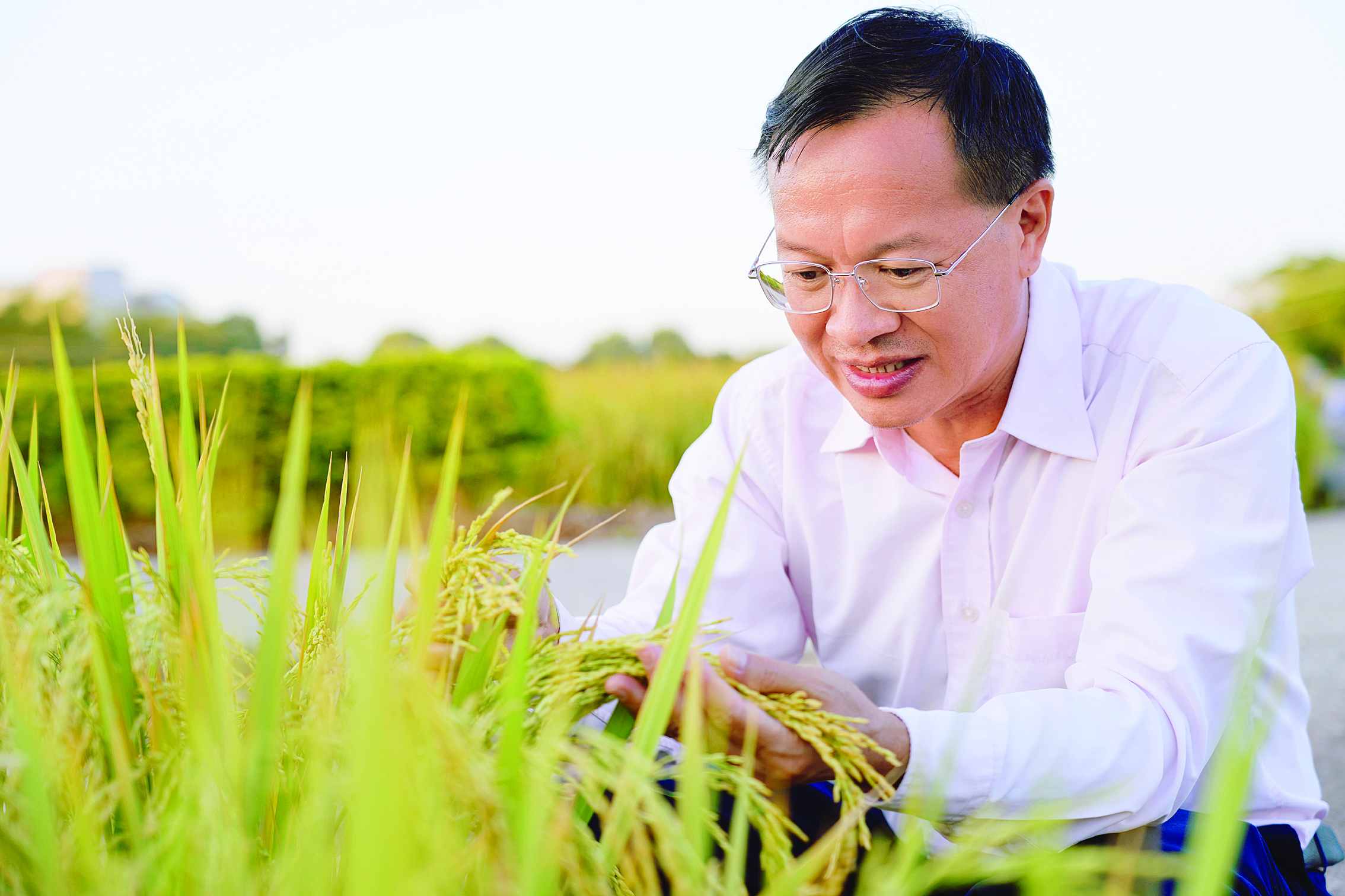     古幸福。图片由受访者提供