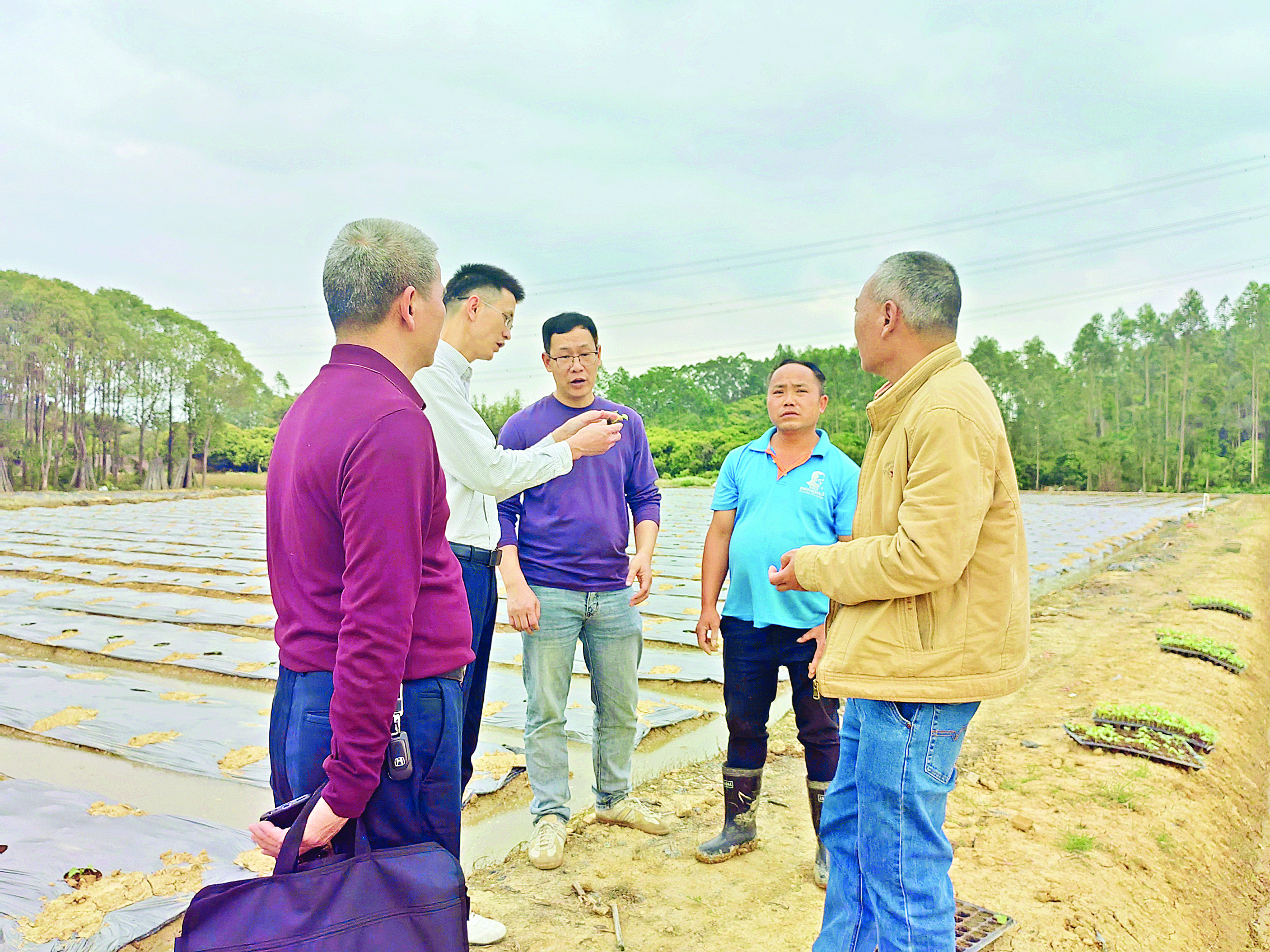     博罗县纪委监委对农村集体“三资”监管情况开展实地监督走访。
