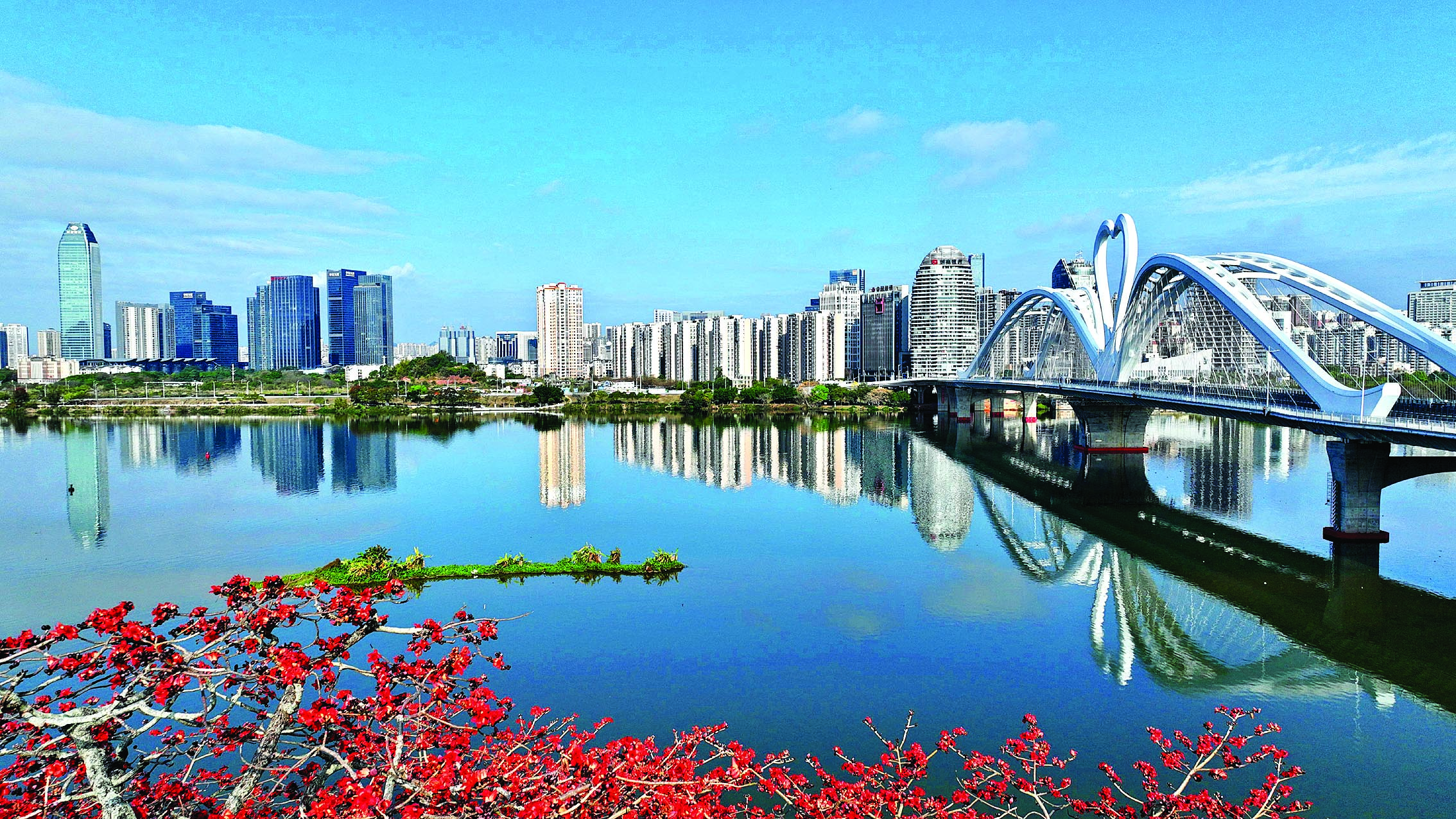     2025年3月13日 英雄花开鹅城大桥。