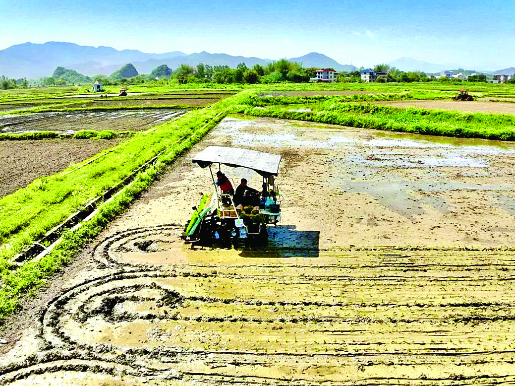     龙江镇的田野上，农户正在机械化作业。本组图片 惠州日报记者黄宇翔 通讯员龙融心 摄