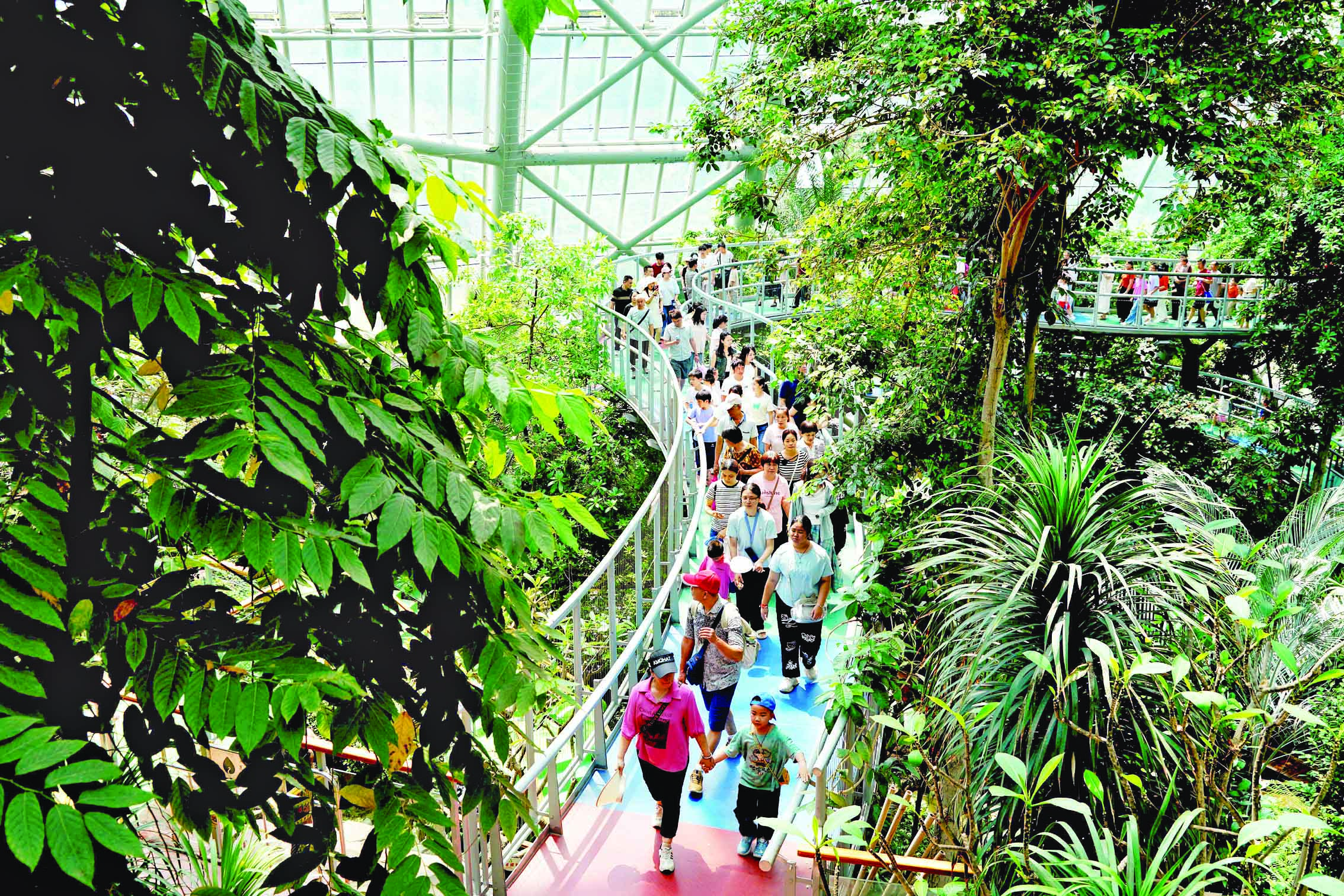     “五一”假期惠州植物园人头攒动。惠州日报记者李松权 摄