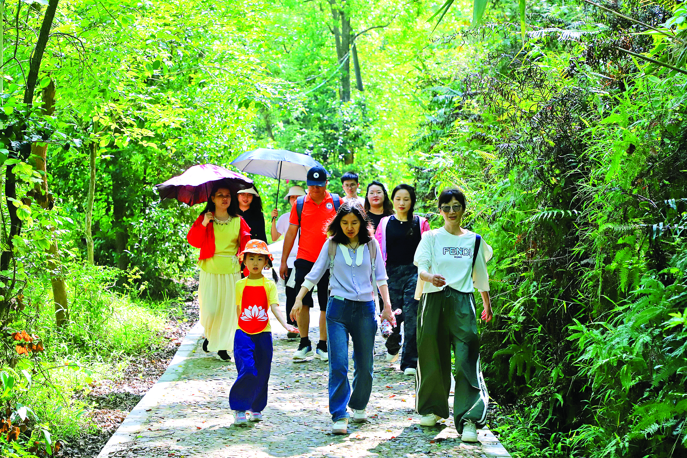     户外运动爱好者在鸡笼山村徒步。