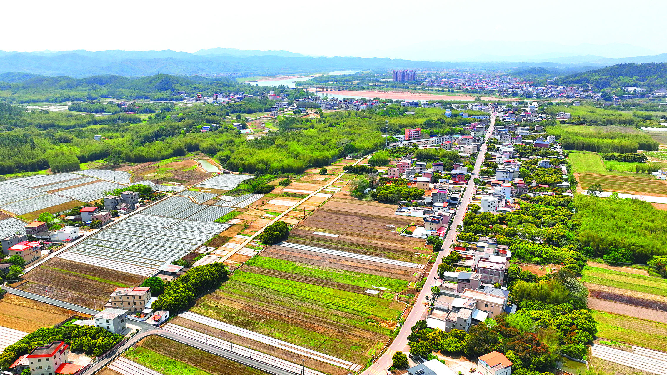     惠城区芦洲镇芦村村。本组图片 惠州日报记者彭红霞 肖泓 摄