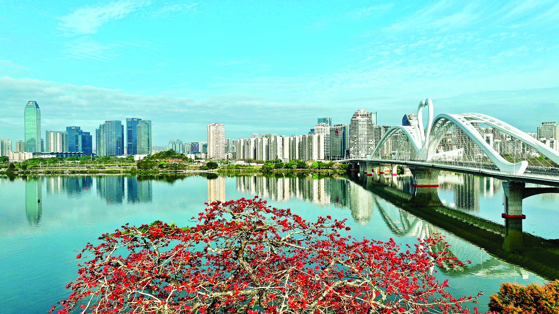     鹅城大桥。惠州东江图片社供图