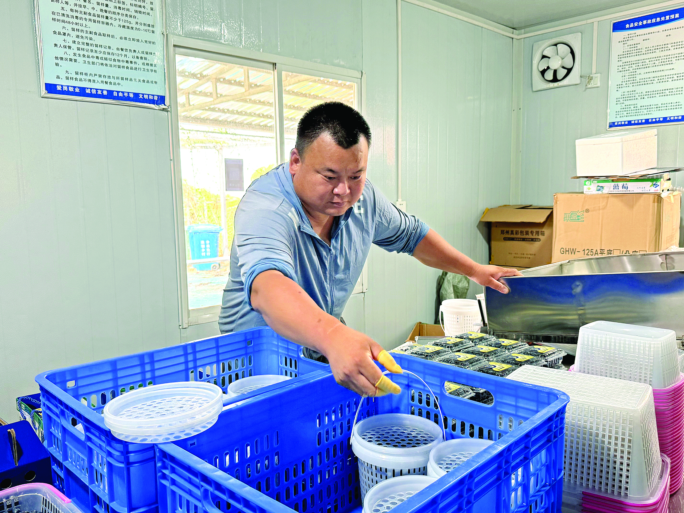     工人在包装蓝莓。