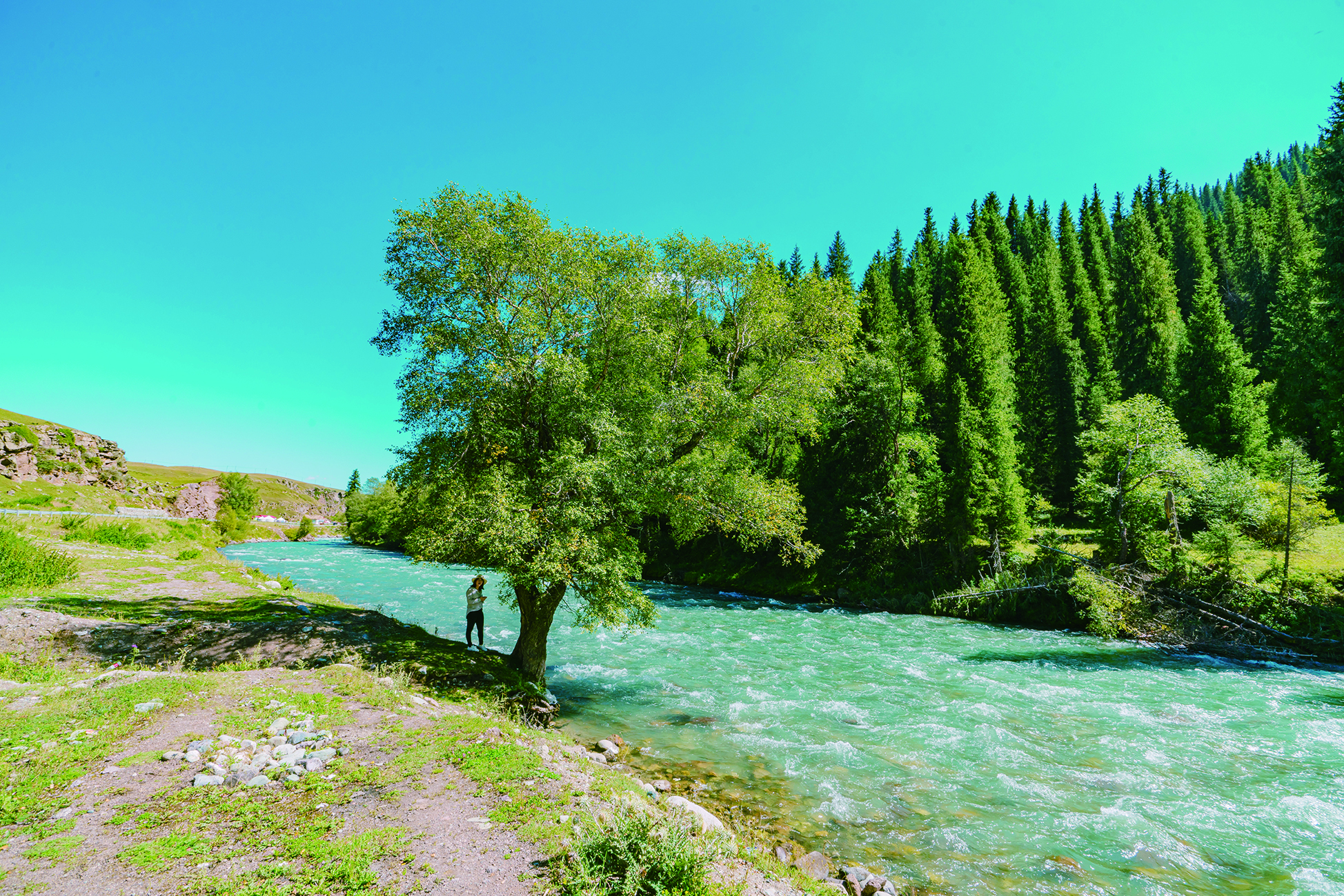     阿尔泰山下的“人间净土”喀纳斯。