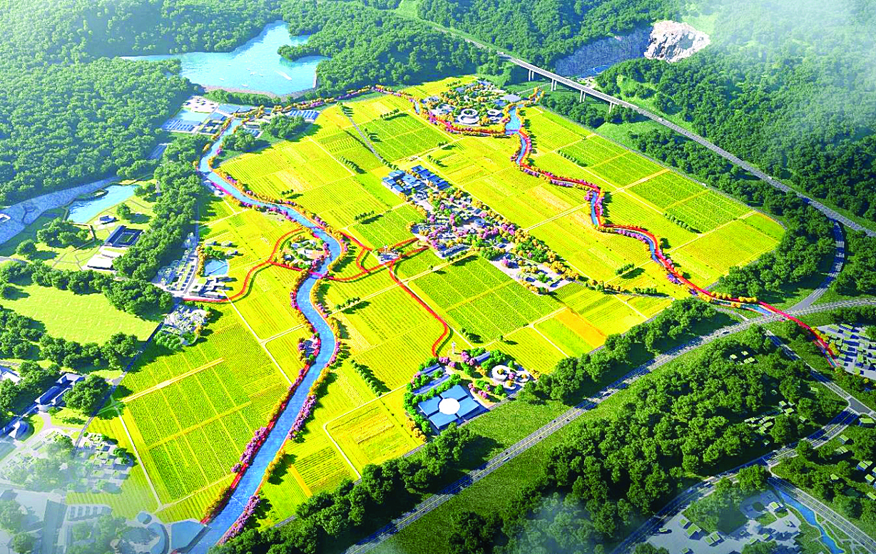     霞涌上角村千亩方稻香田园项目效果图（翻拍）。