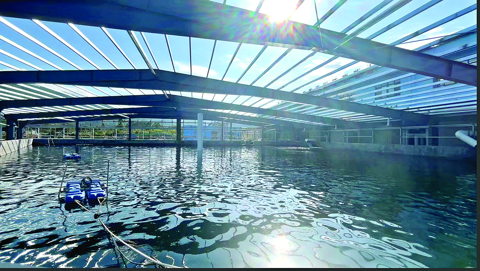     为了进一步满足金枪鱼的日常游动需求，试验基地专门建设了一个3500立方米的大水体高位池。    惠州日报记者曾静妍 摄