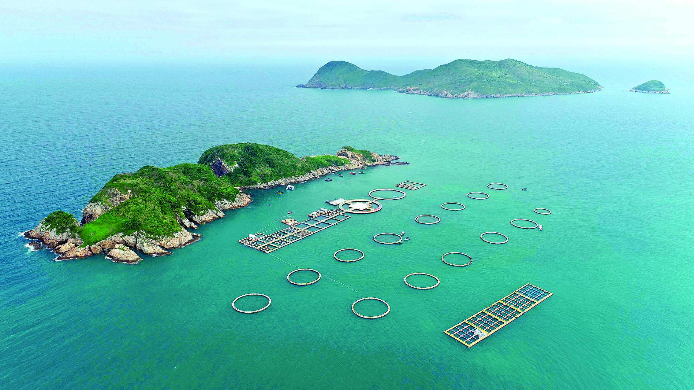     惠东县港口滨海旅游度假区的一方海海洋牧场。