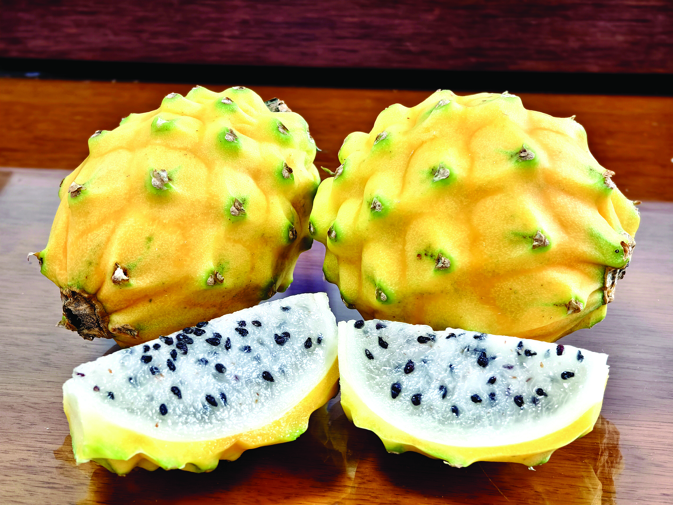     燕窝果学名黄皮火龙果。惠州日报记者谢菁菁 通讯员洪润怀 黄欣欣 摄