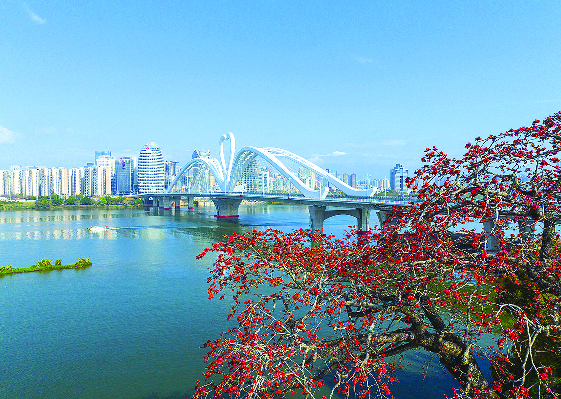     去年底建成通车的鹅城大桥成为联动东江两岸惠民兴业的新动脉。 惠州东江图片社供图