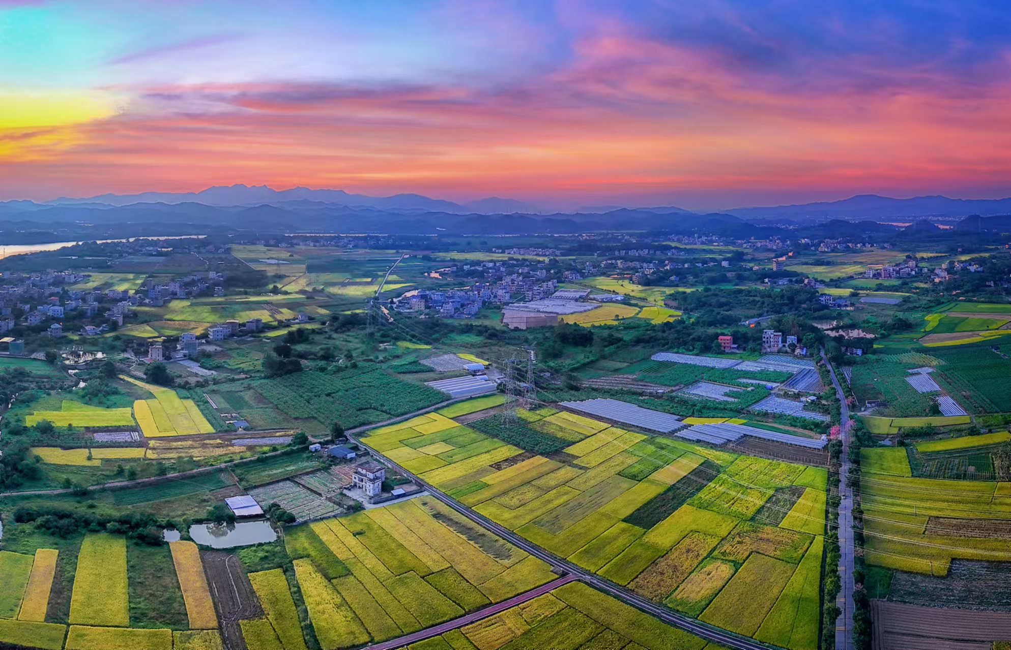 <p>    墨园村。</p>