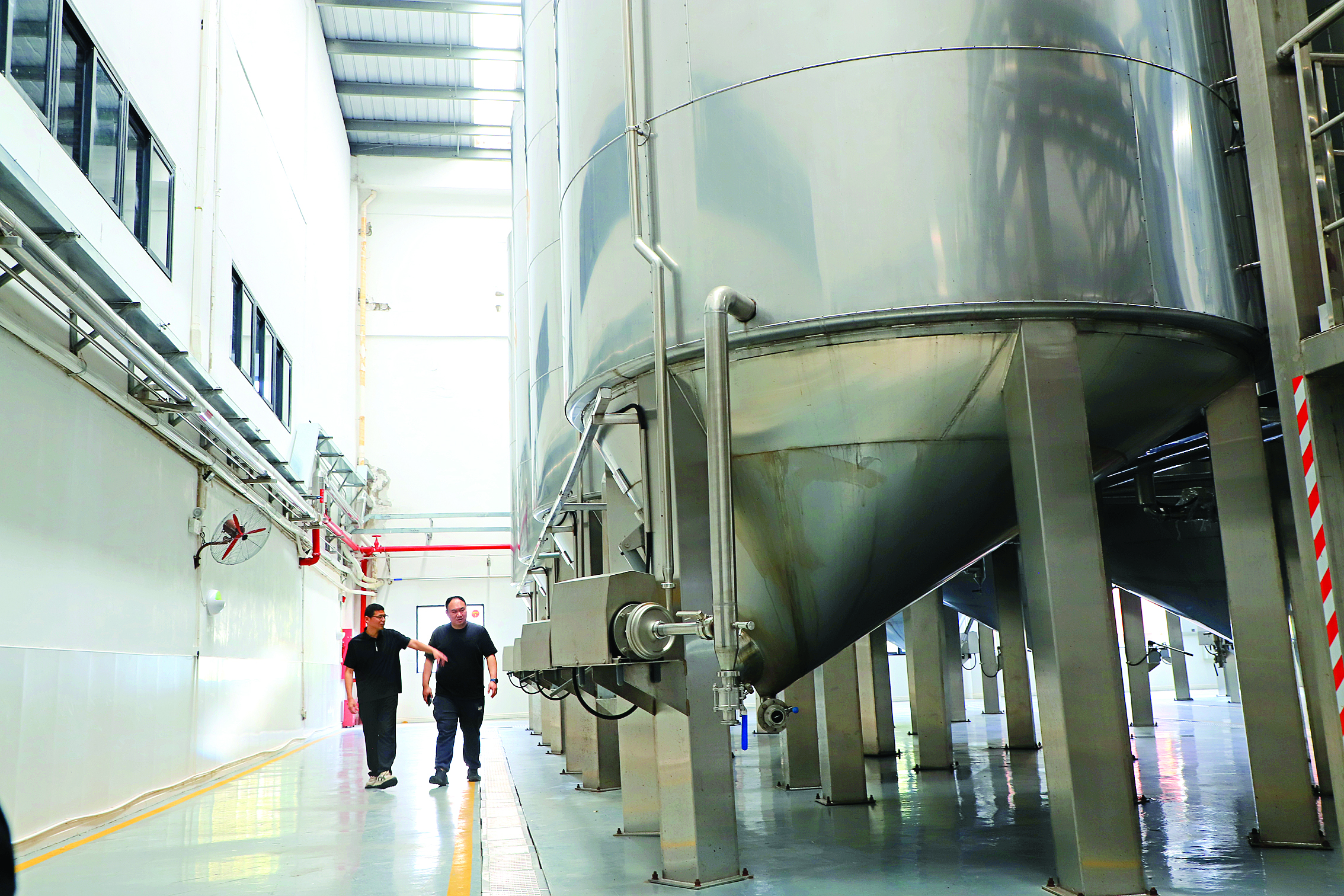     荔枝酒庄的生产线。