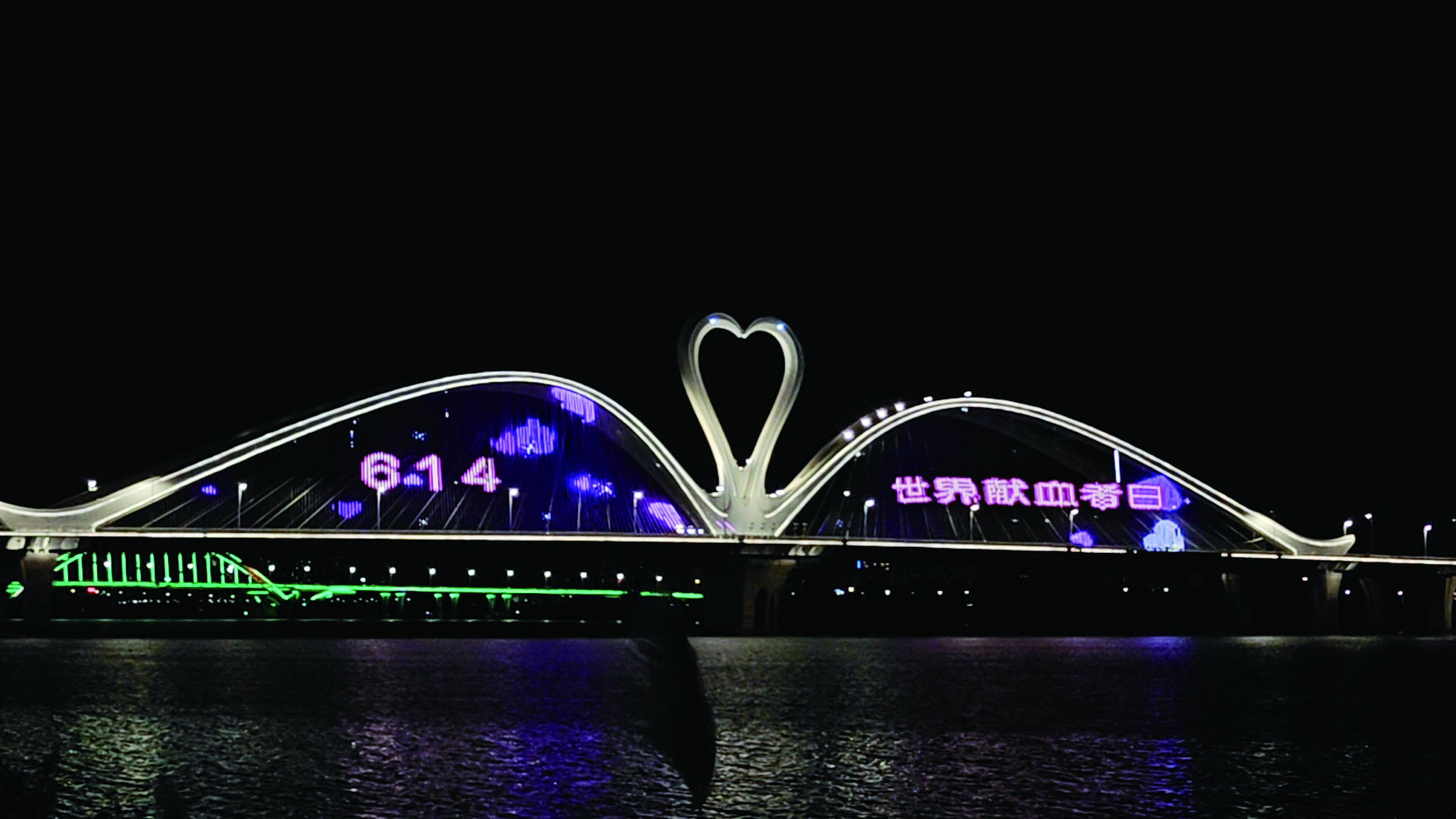     “世界献血日”鹅城大桥亮灯。   本版图片由惠州市中心血站提供