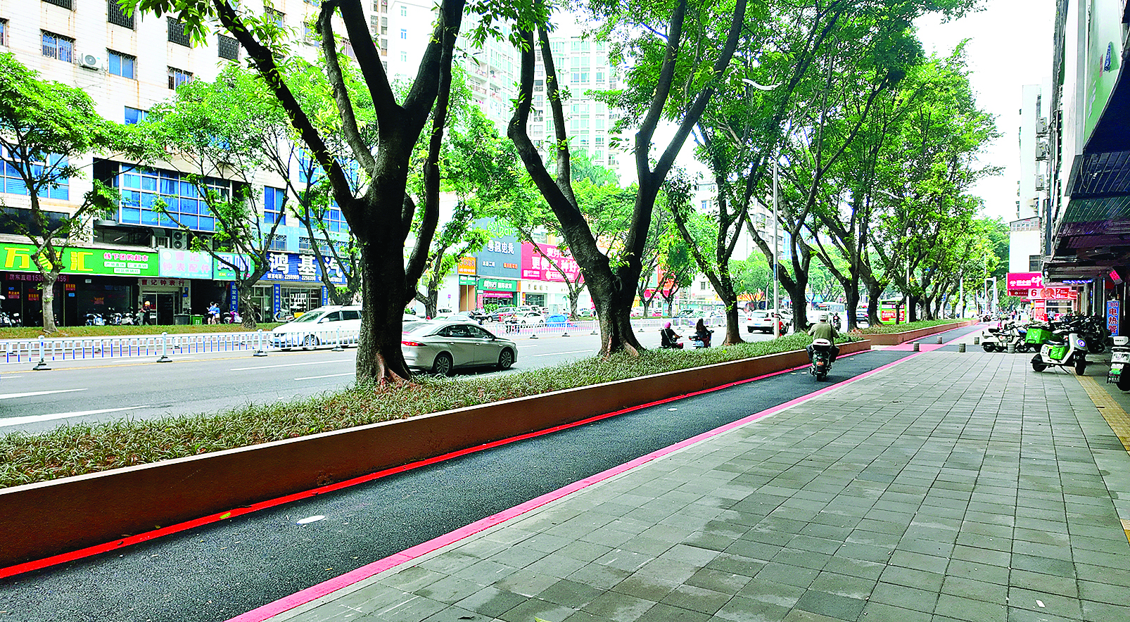     市区东湖西路改造提升，修建了树池和非机动车道。惠州日报记者钟畅新 摄