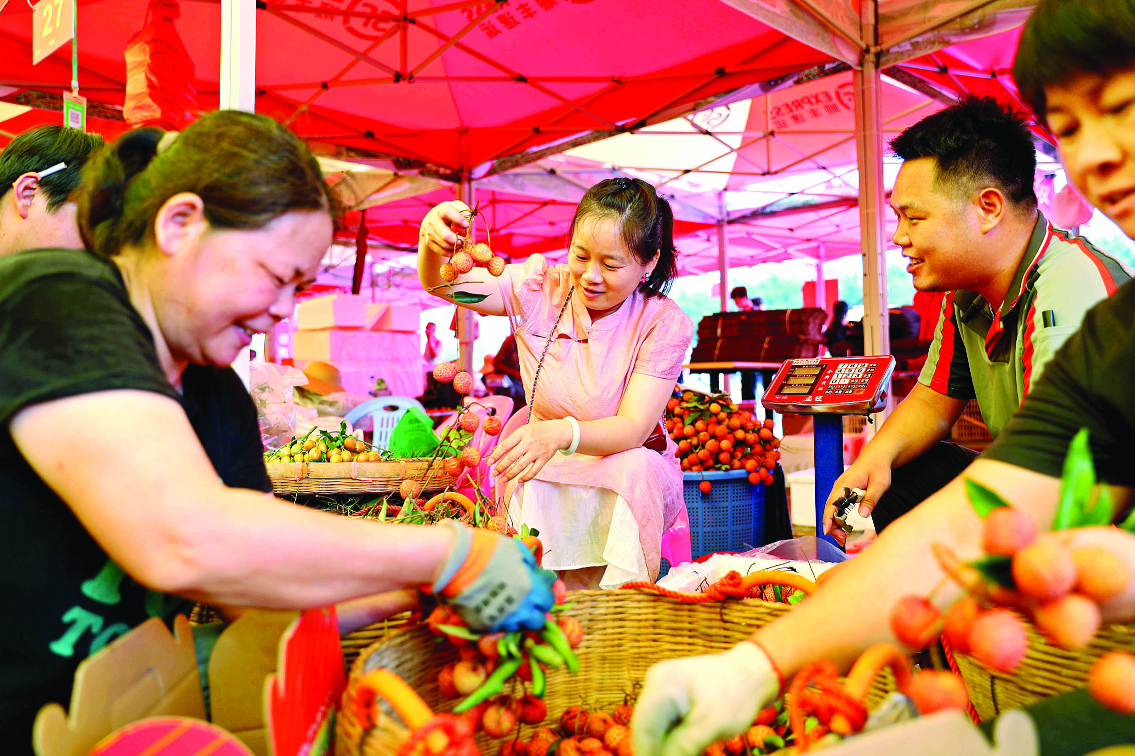     顾客在RCEP惠州（镇隆）荔枝交易中心选购荔枝。惠州日报记者杨建业 摄