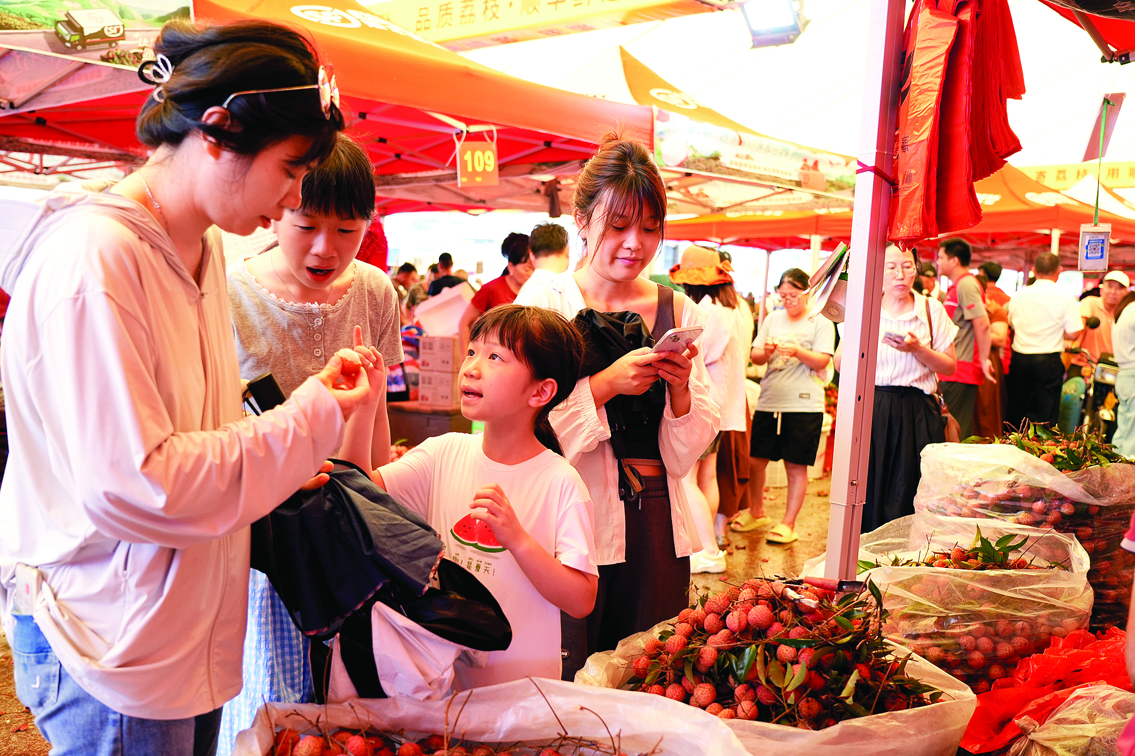     不少外地客商前来采购镇隆荔枝。本组图片 惠州日报记者许文昌 摄