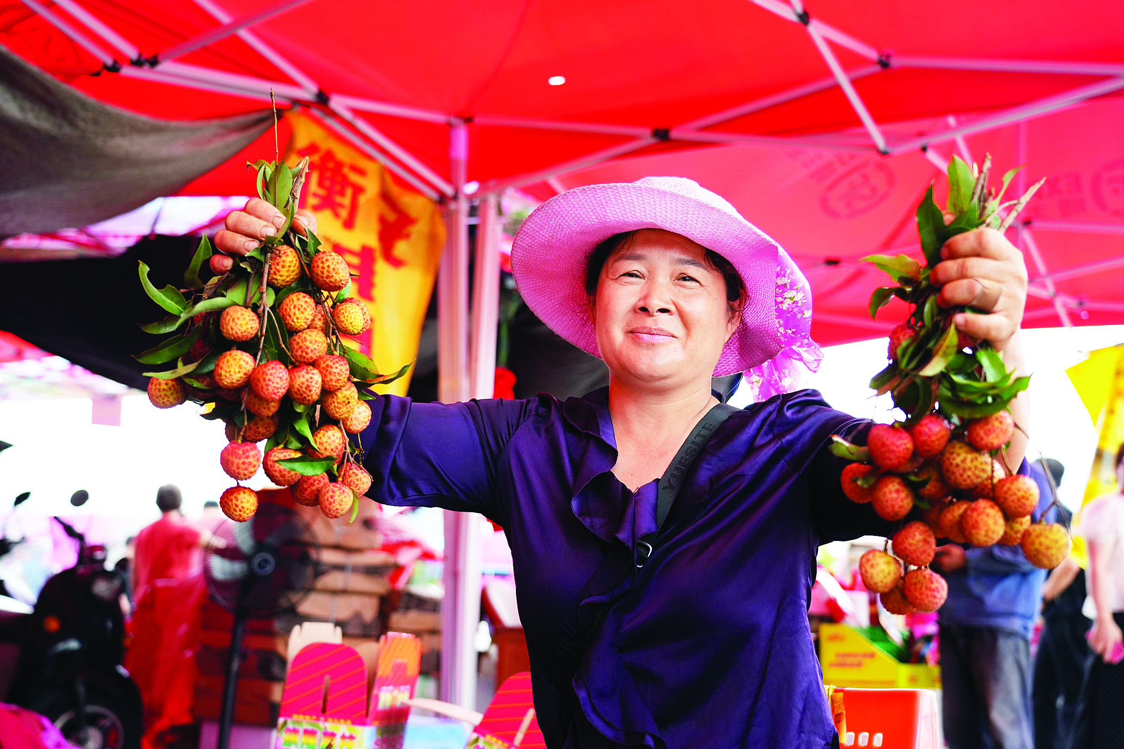     种植户展示自家种植的荔枝。 