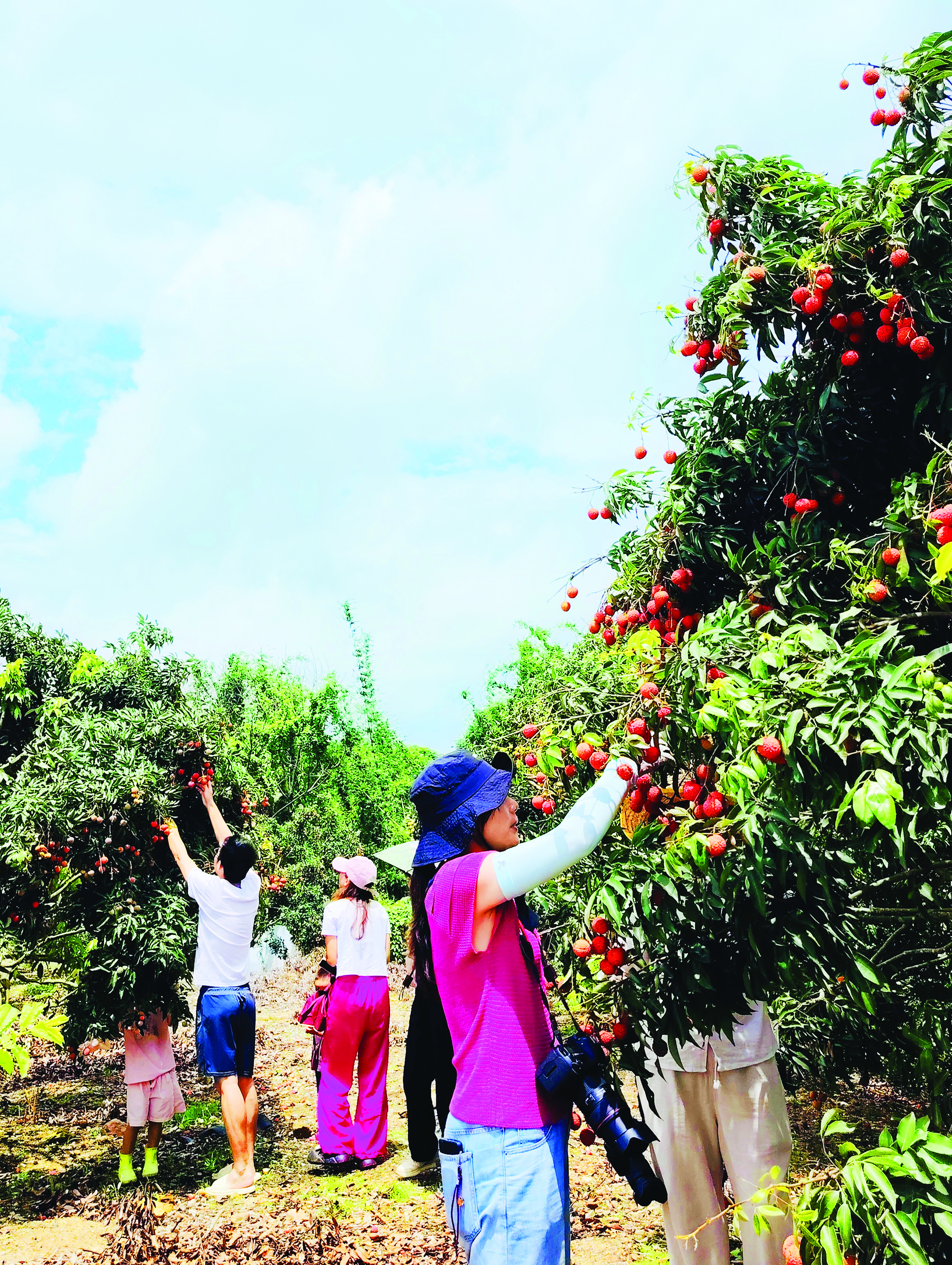     市民游客在潭头村尝鲜。