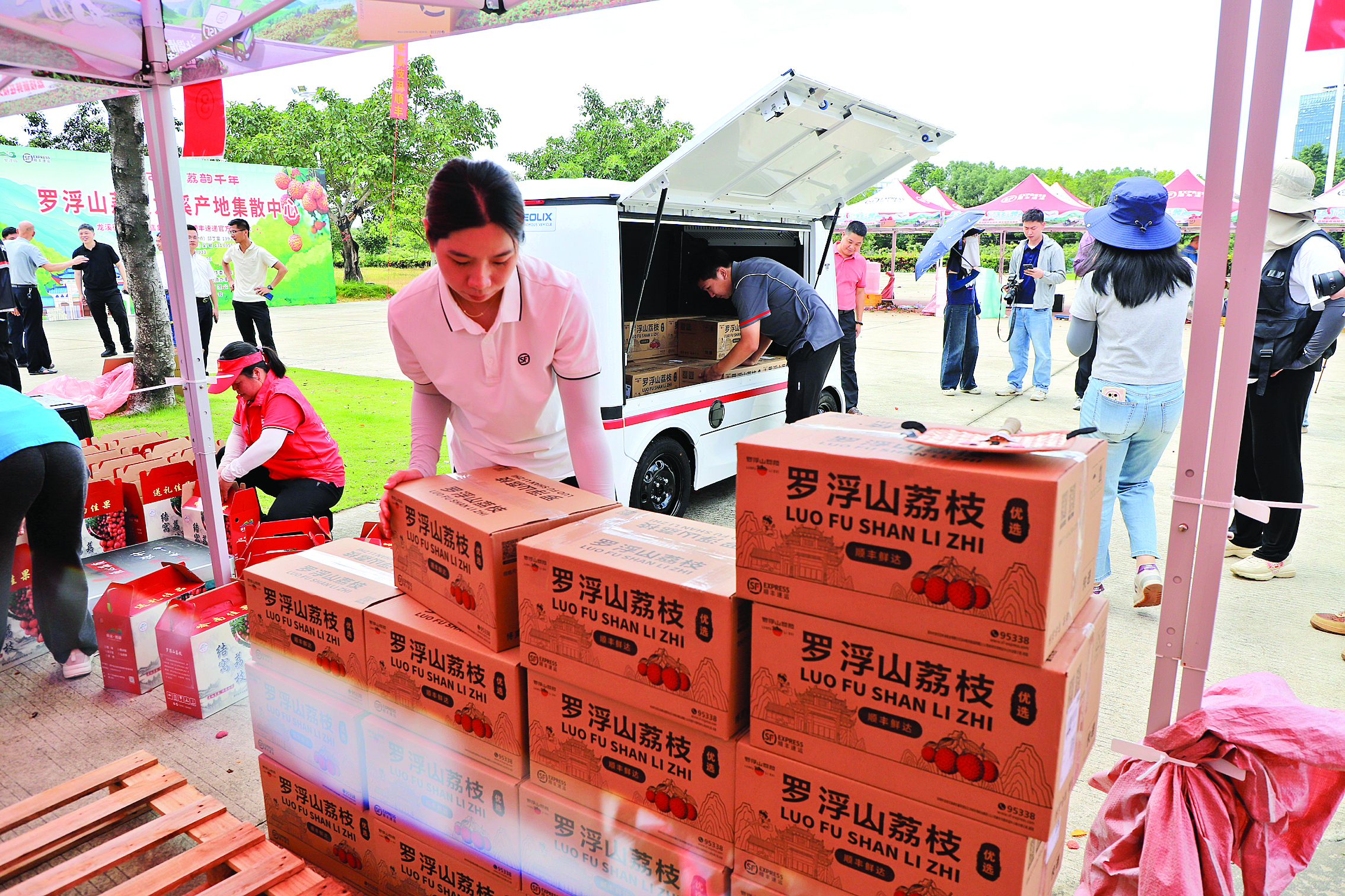     工作人员将荔枝搬上无人车。    惠州日报记者李燕文 卢泓宇 摄