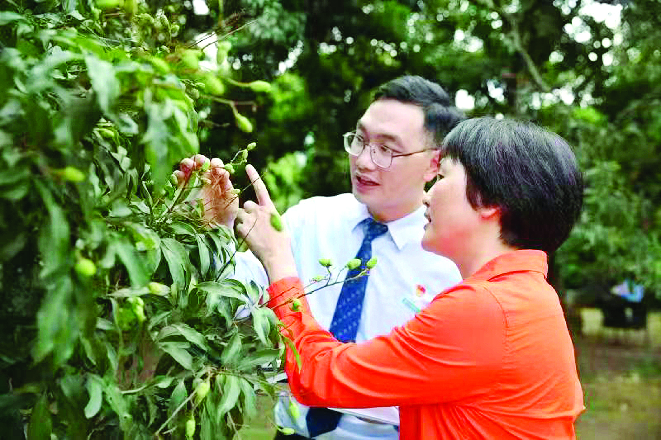     农行惠州分行工作人员到惠州市红美荔生态农业发展有限公司了解生产情况。