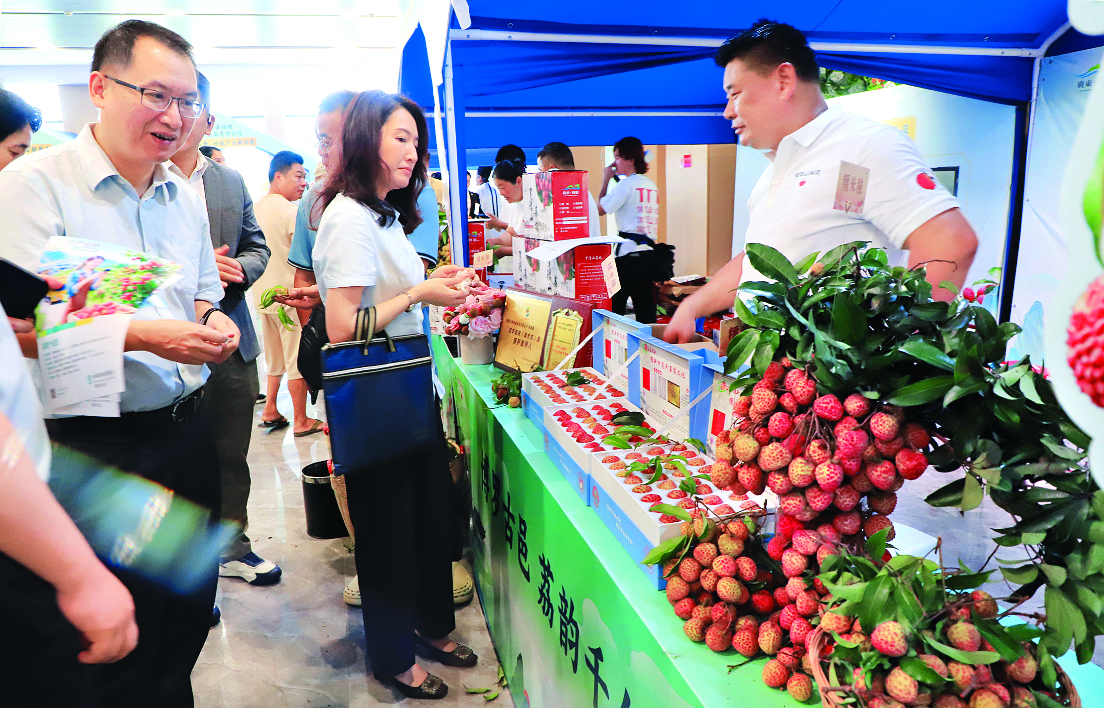     市民在选购荔枝。