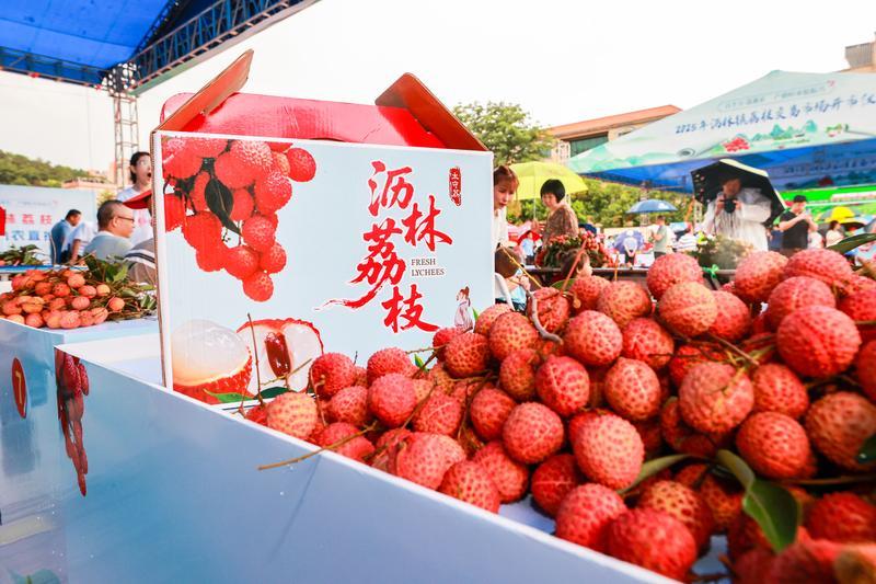 <p>沥林荔枝果皮鲜红、清甜多汁。</p>