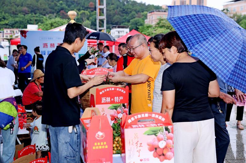<p>市民游客在选购荔枝。</p>
