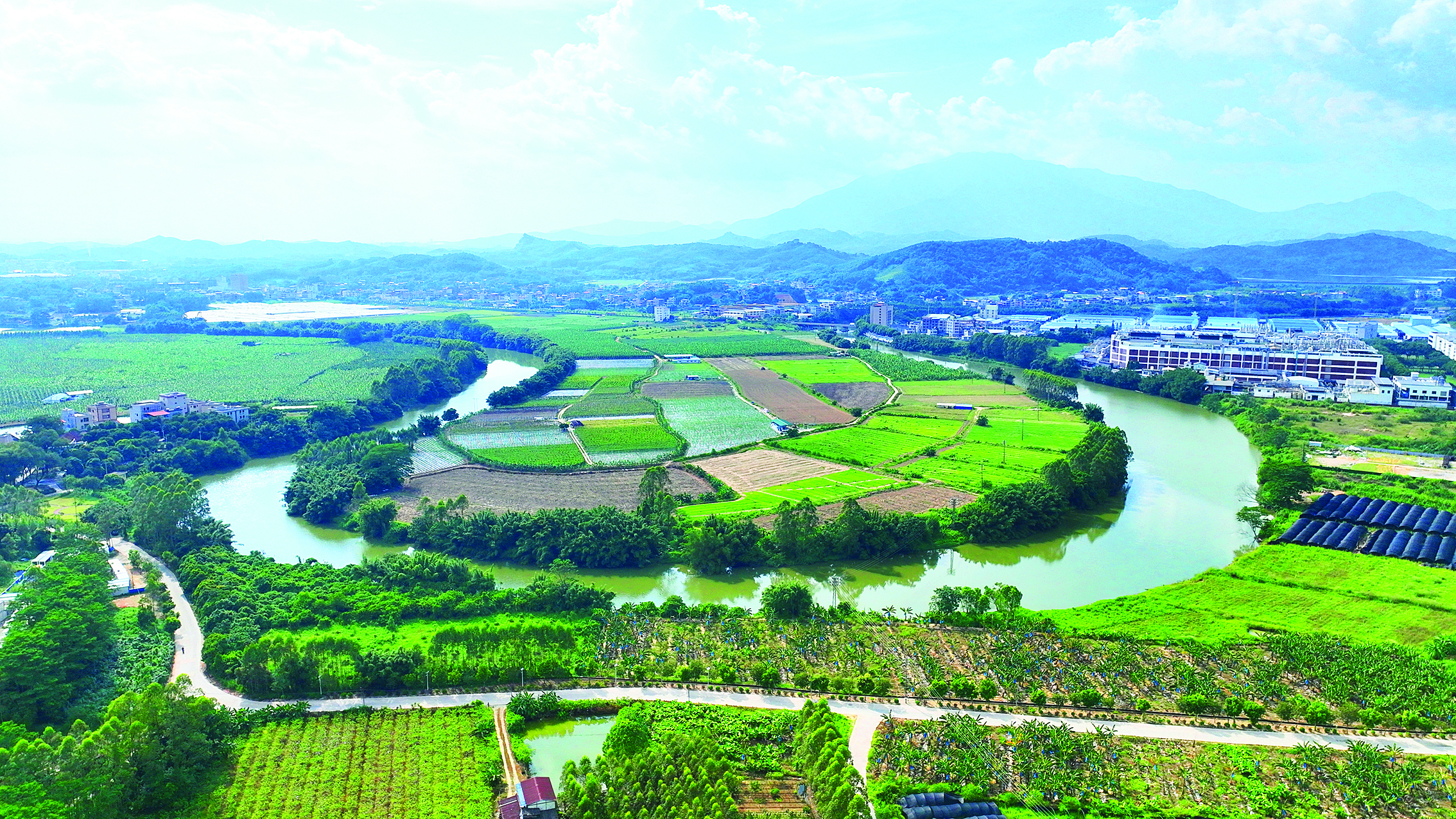     近年来，我市始终坚持落实最严格的耕地保护制度，端稳粮食金碗。惠州日报记者钟畅新 摄