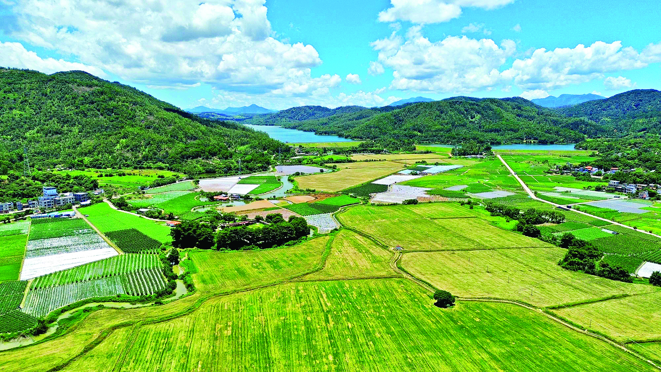     永湖镇凤咀村乡村风貌。惠州日报记者许文昌 摄