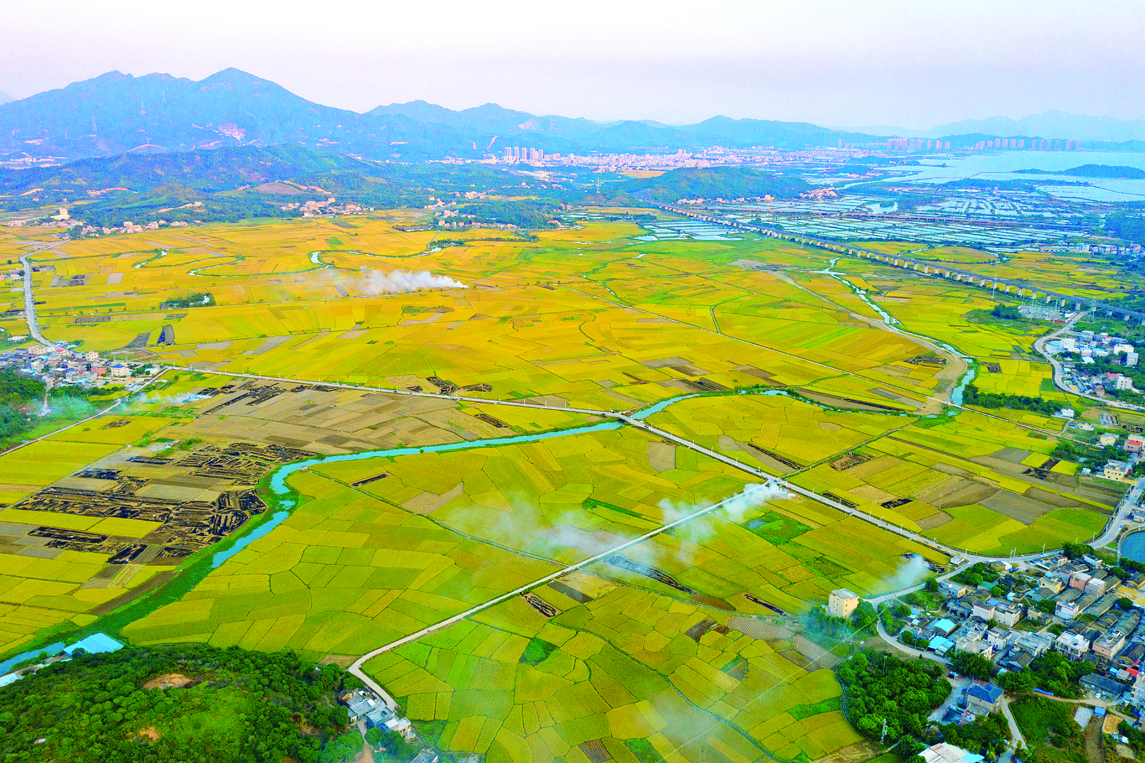     稔山镇竹园片区万亩农田。